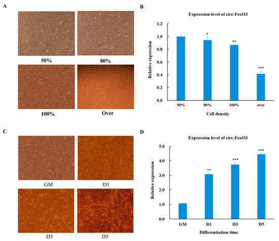 Cells 09 02504 g001