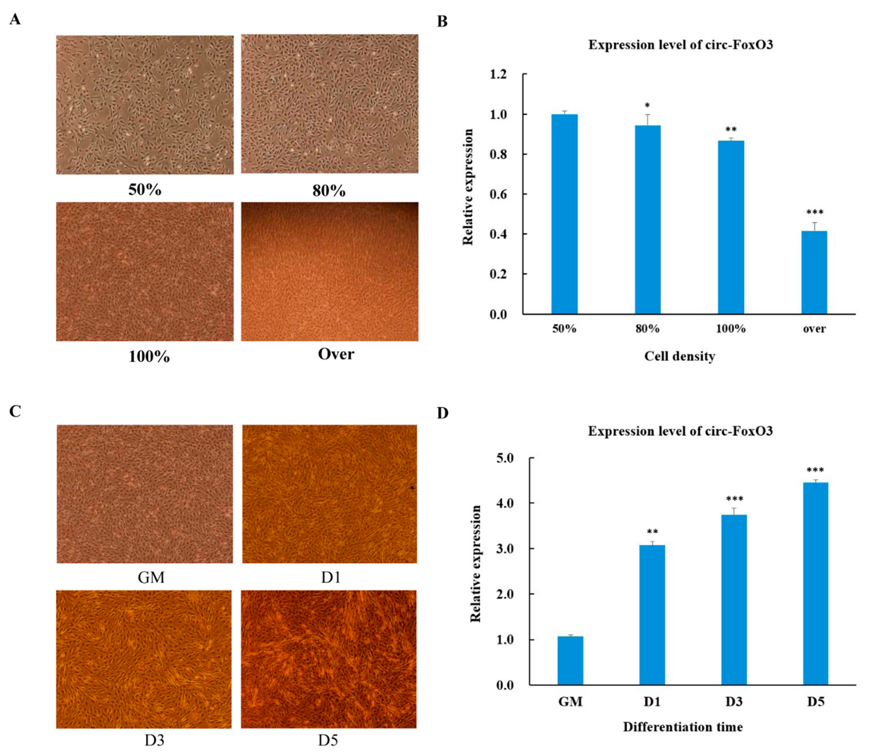 Cells 09 02504 g001