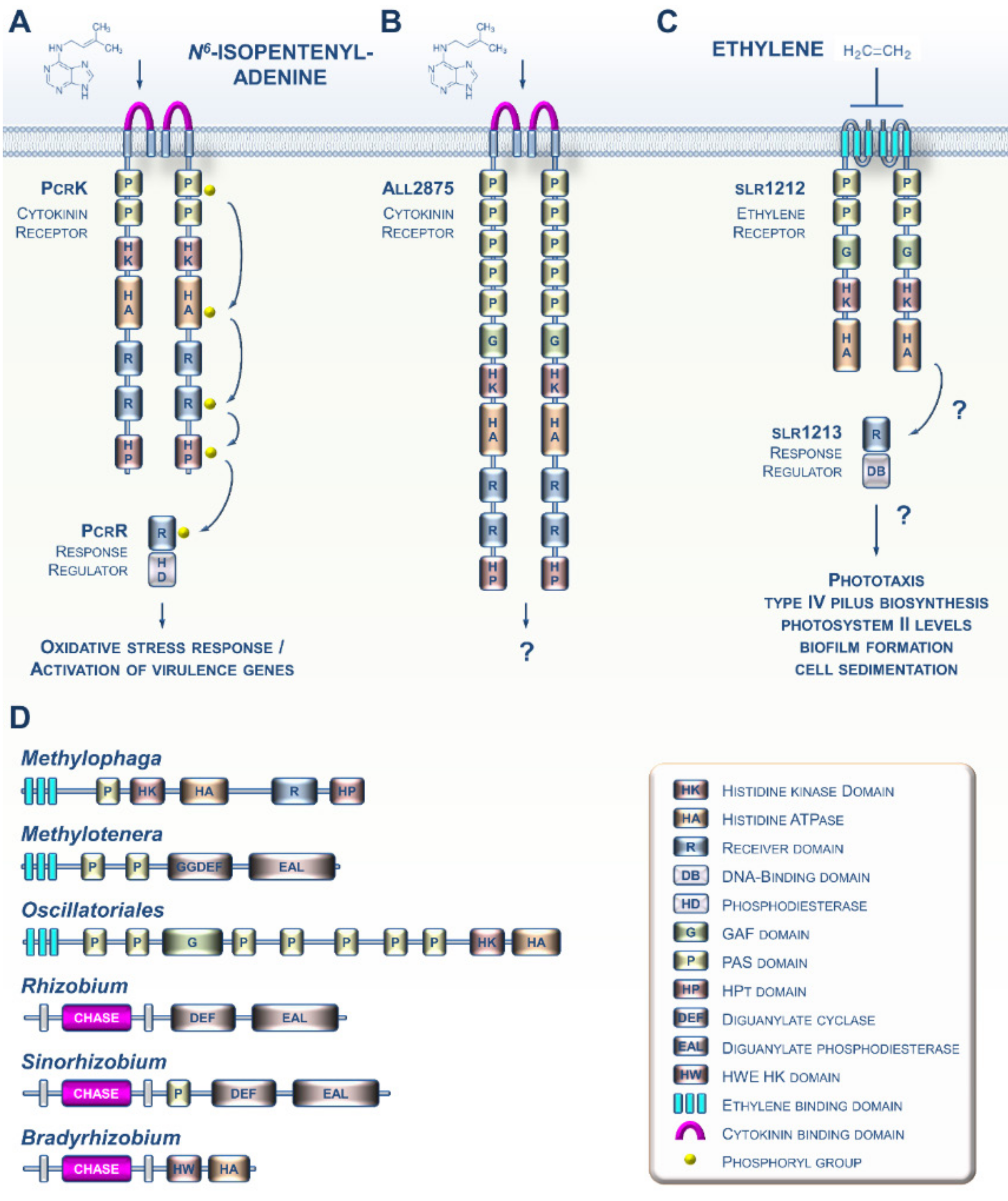 Cells 09 02526 g002 Cells 09 02526 g002