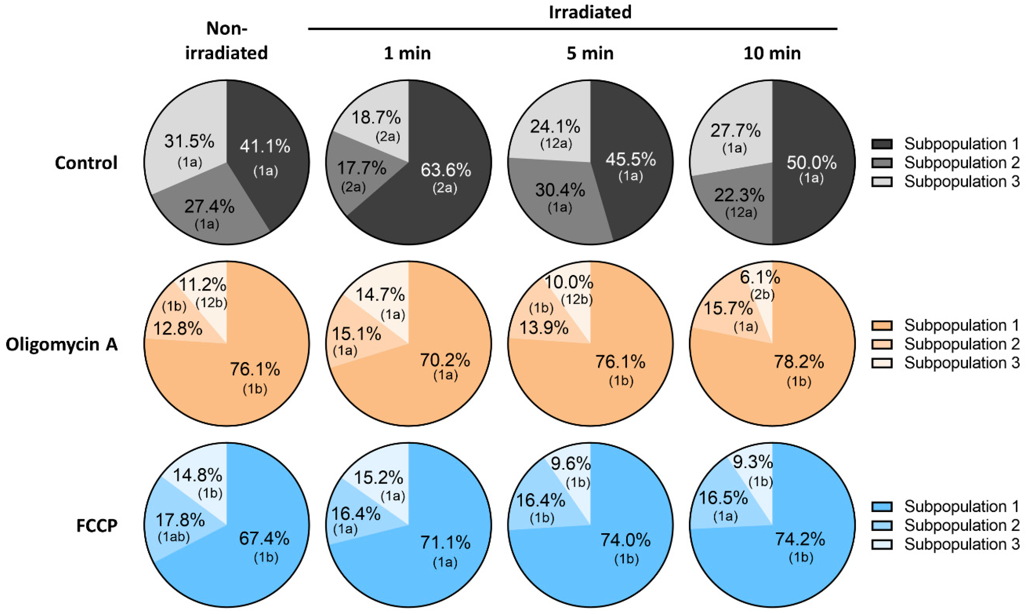 Cells 09 02546 g002 Cells 09 02546 g002