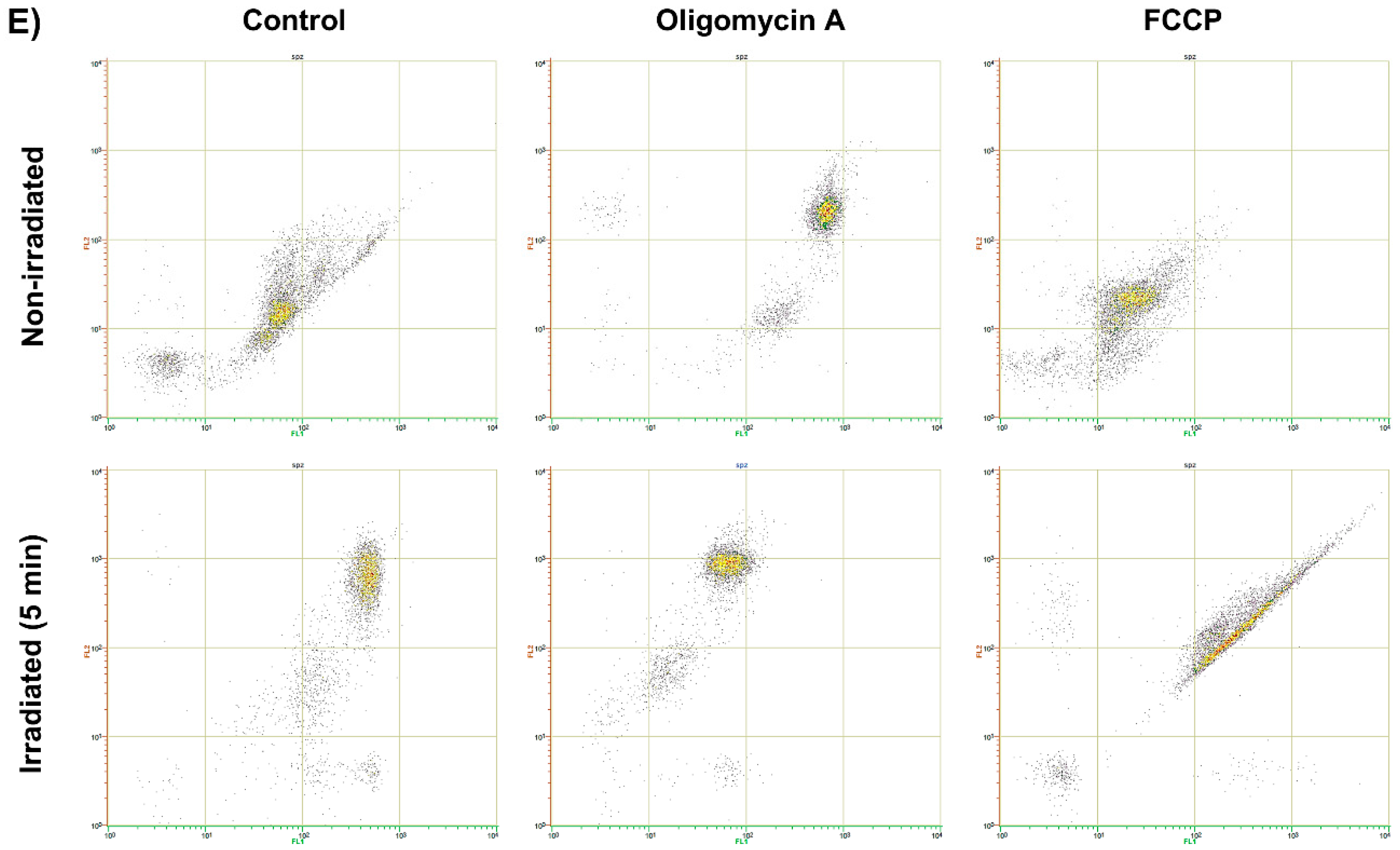Cells 09 02546 g003b Cells 09 02546 g003b