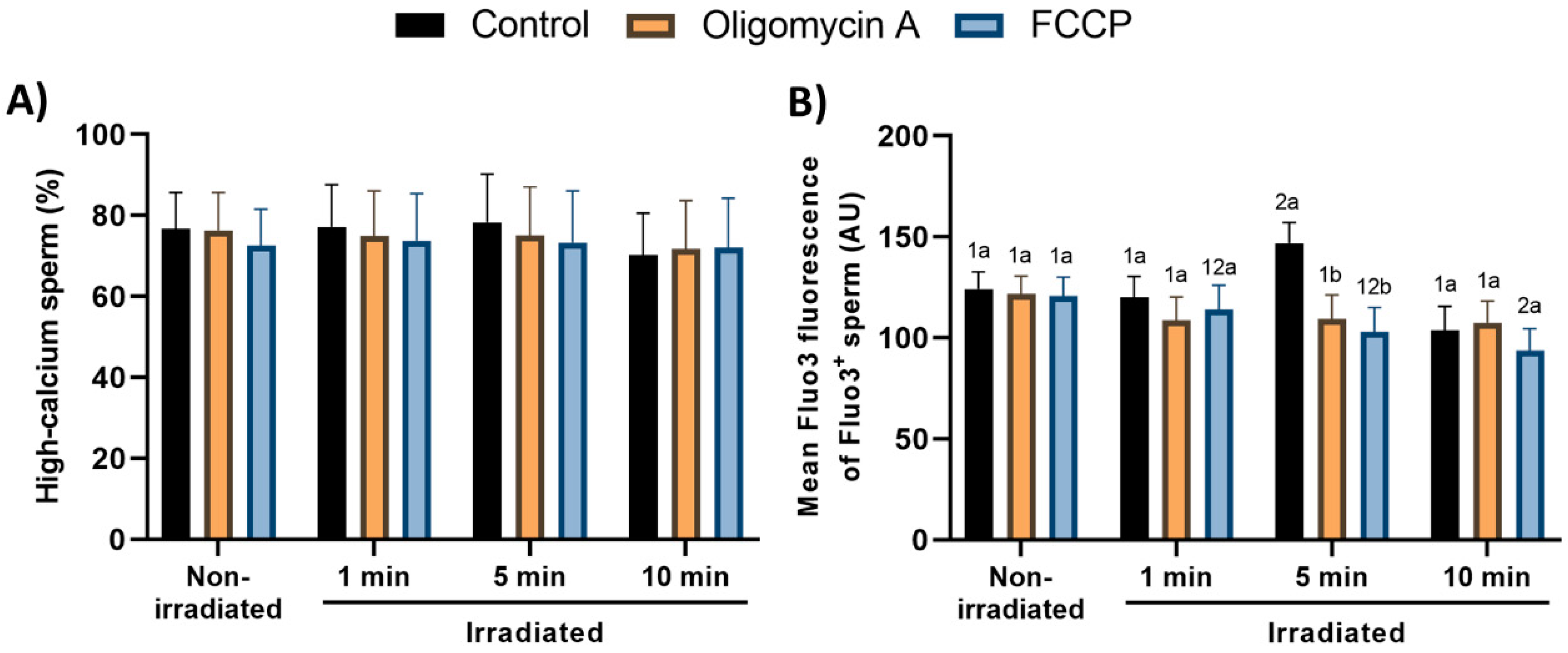 Cells 09 02546 g006 Cells 09 02546 g006