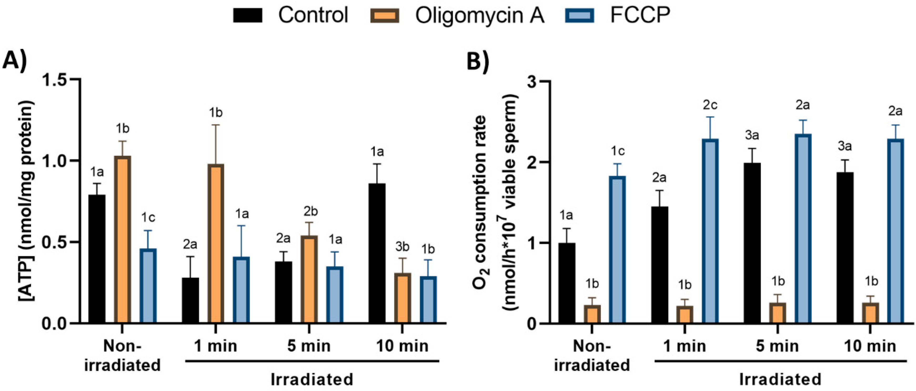 Cells 09 02546 g007 Cells 09 02546 g007