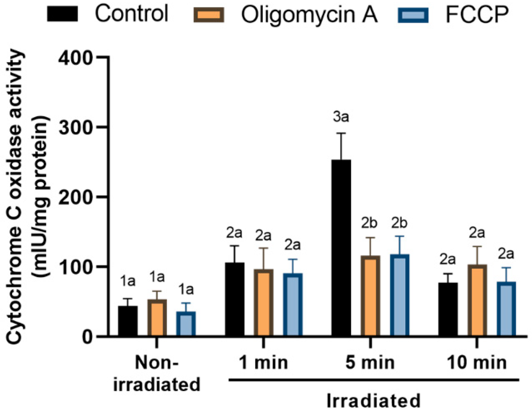 Cells 09 02546 g008 Cells 09 02546 g008