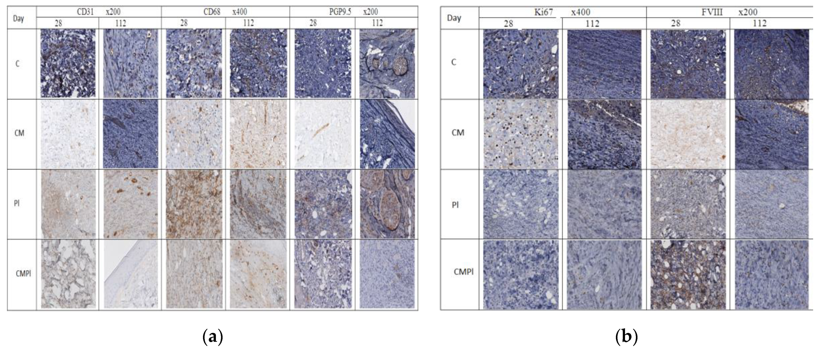 Cells 09 02558 g004a