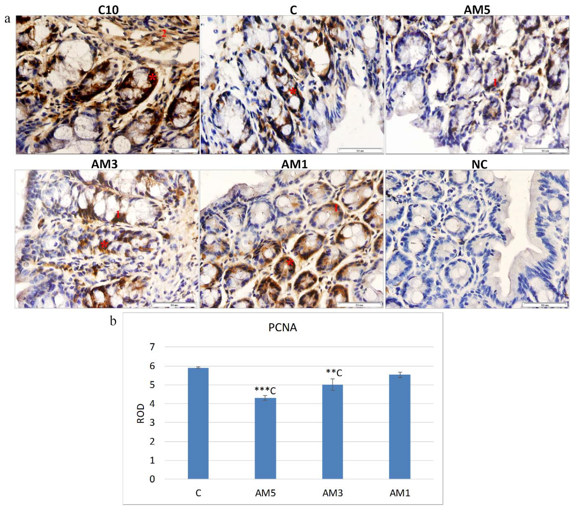 Cells 09 02571 g005 Cells 09 02571 g005
