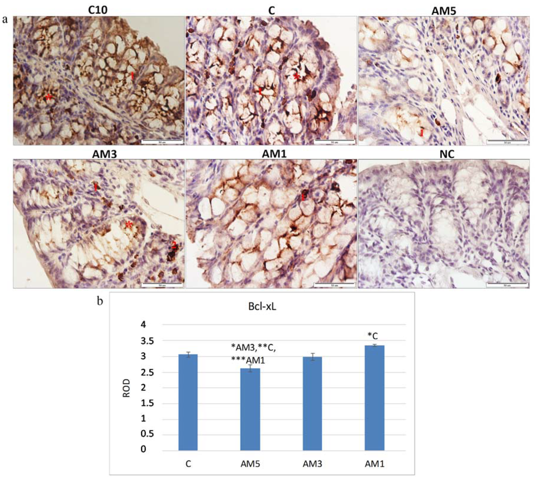 Cells 09 02571 g006 Cells 09 02571 g006