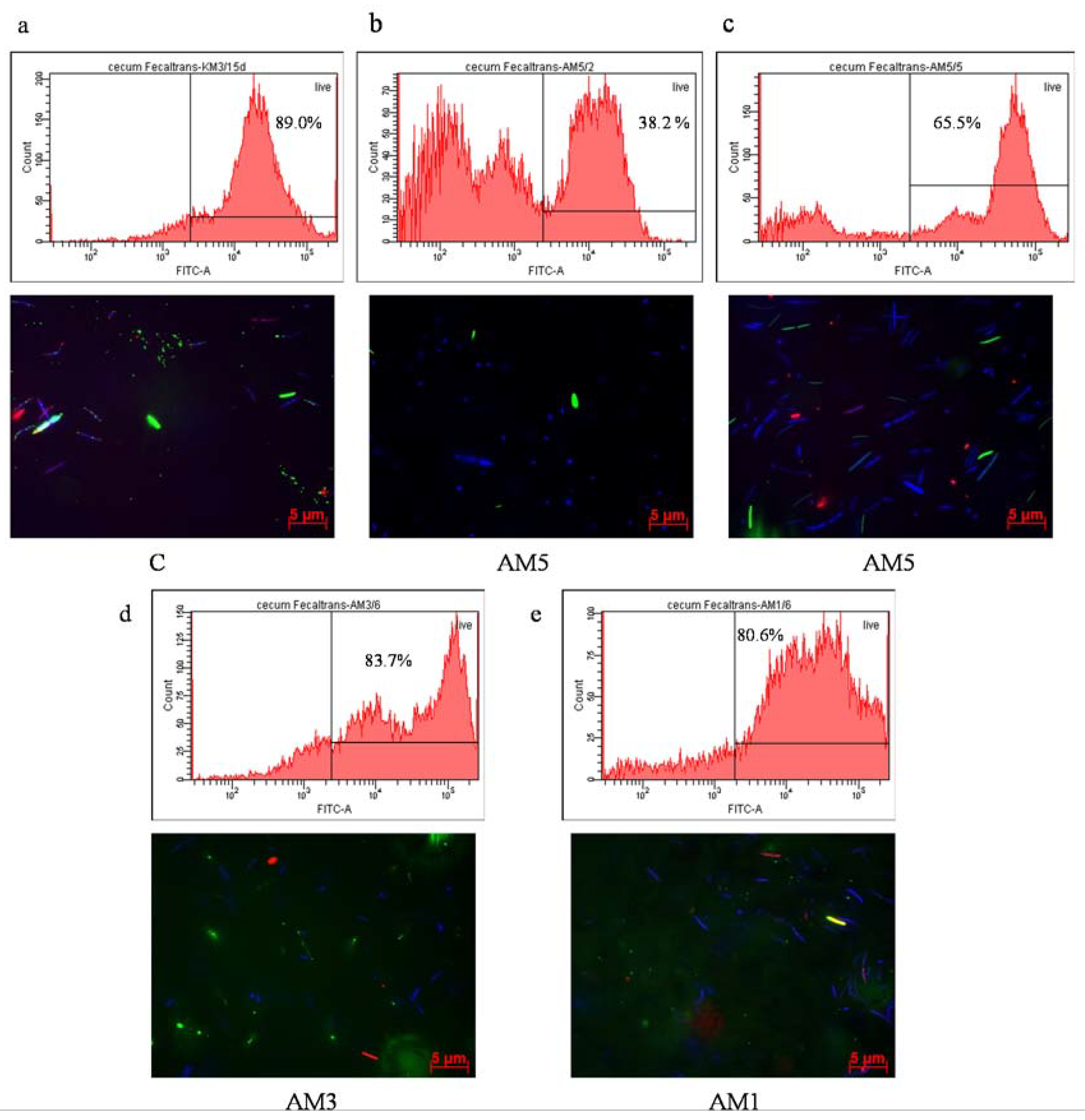 Cells 09 02571 g007 Cells 09 02571 g007