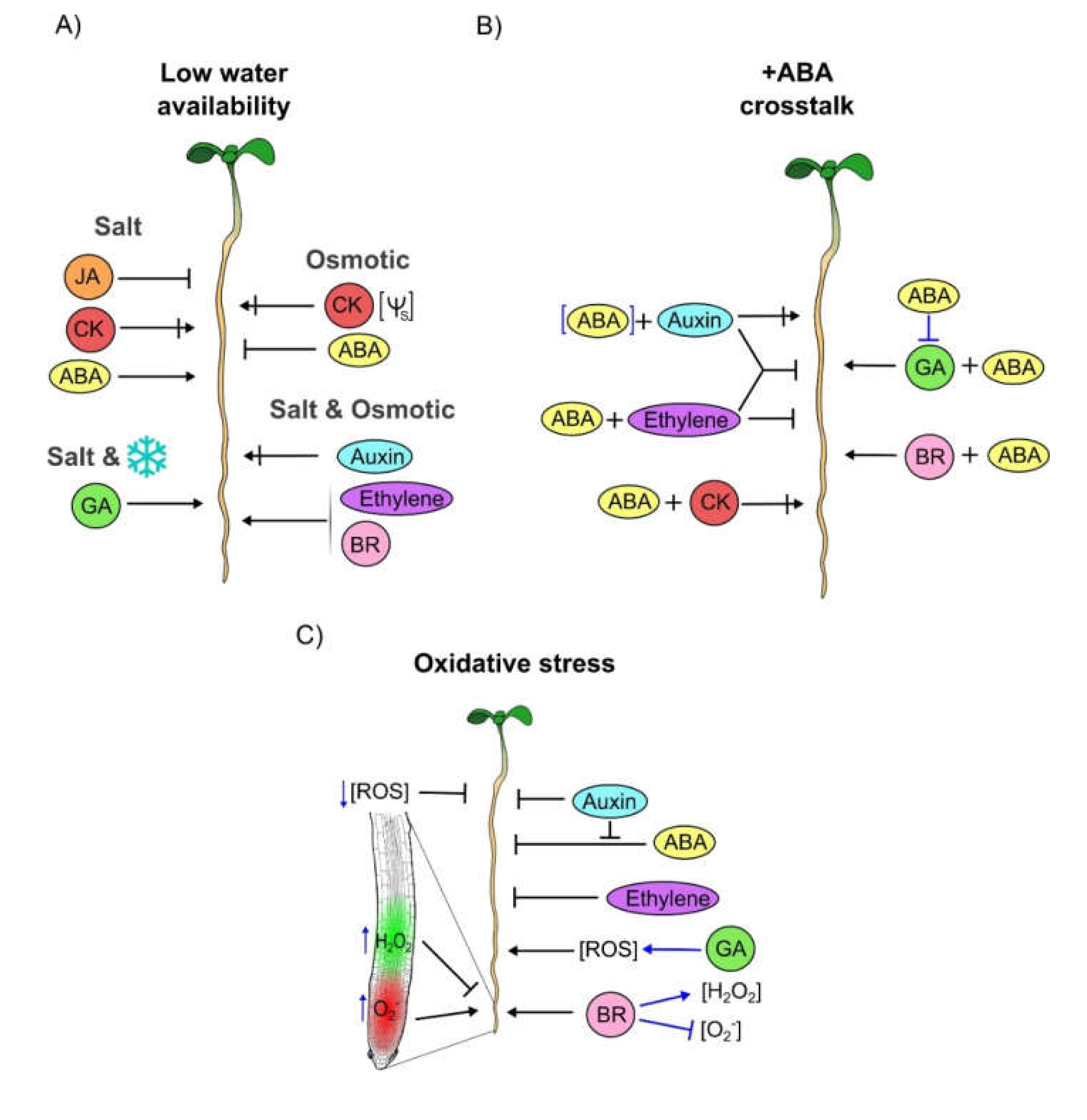 Cells 09 02576 g002 Cells 09 02576 g002