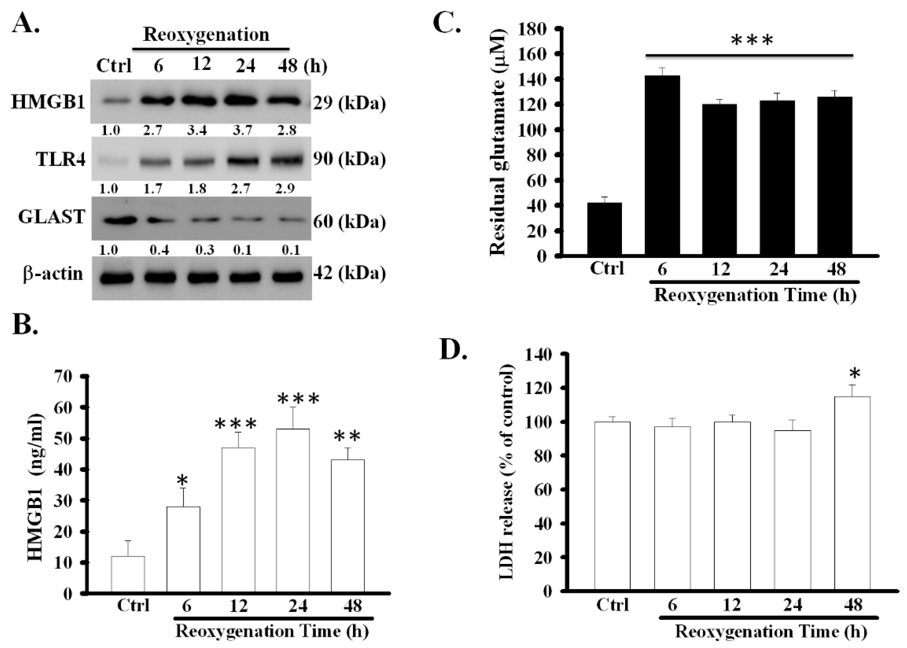 Cells 09 02585 g001 Cells 09 02585 g001