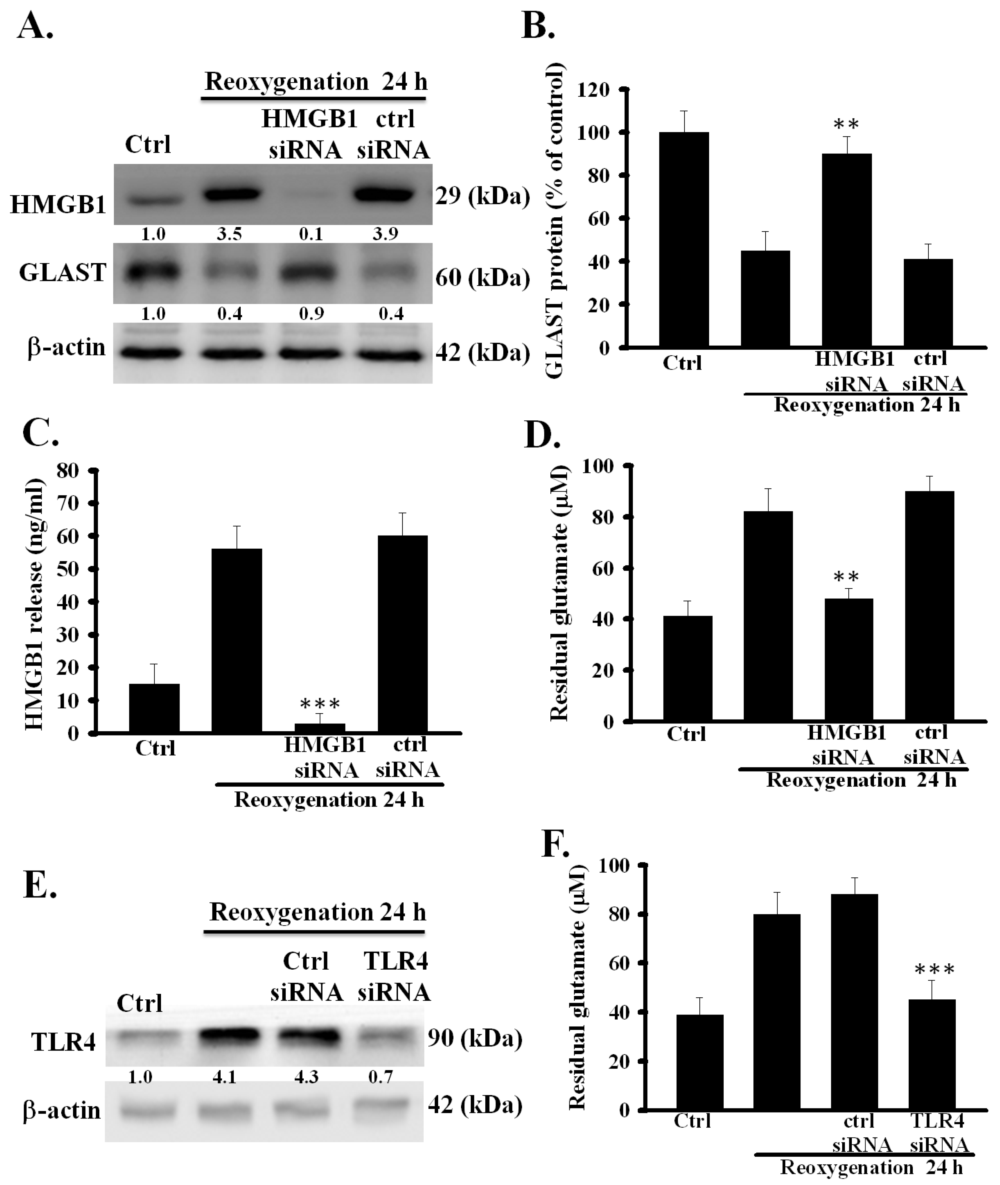 Cells 09 02585 g002 Cells 09 02585 g002