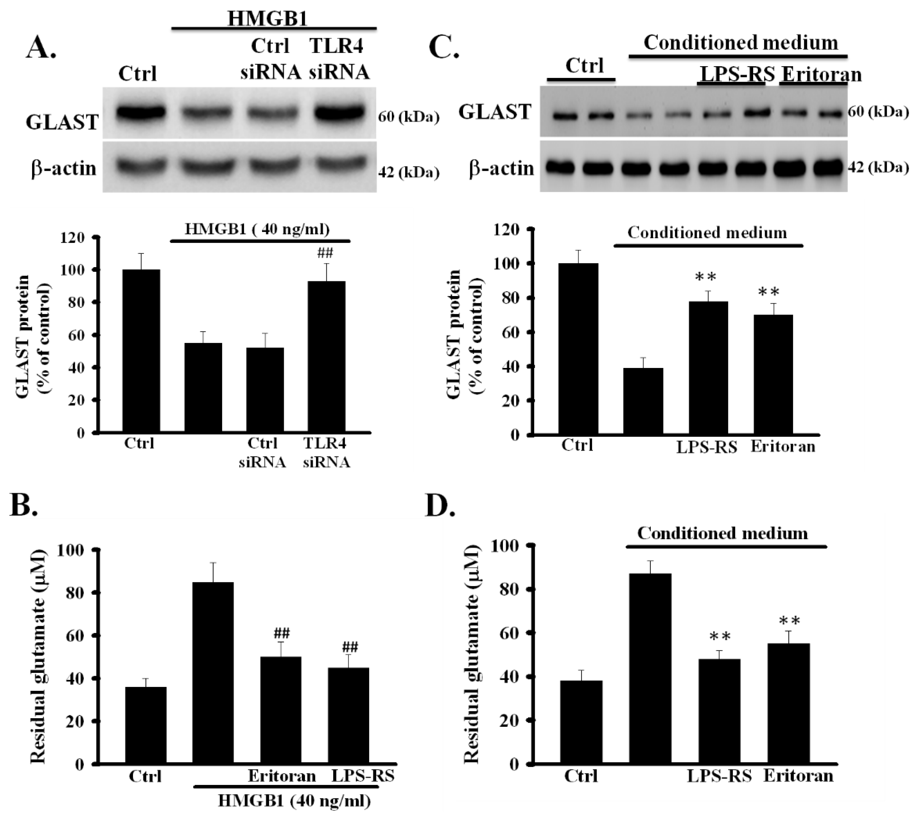 Cells 09 02585 g004 Cells 09 02585 g004