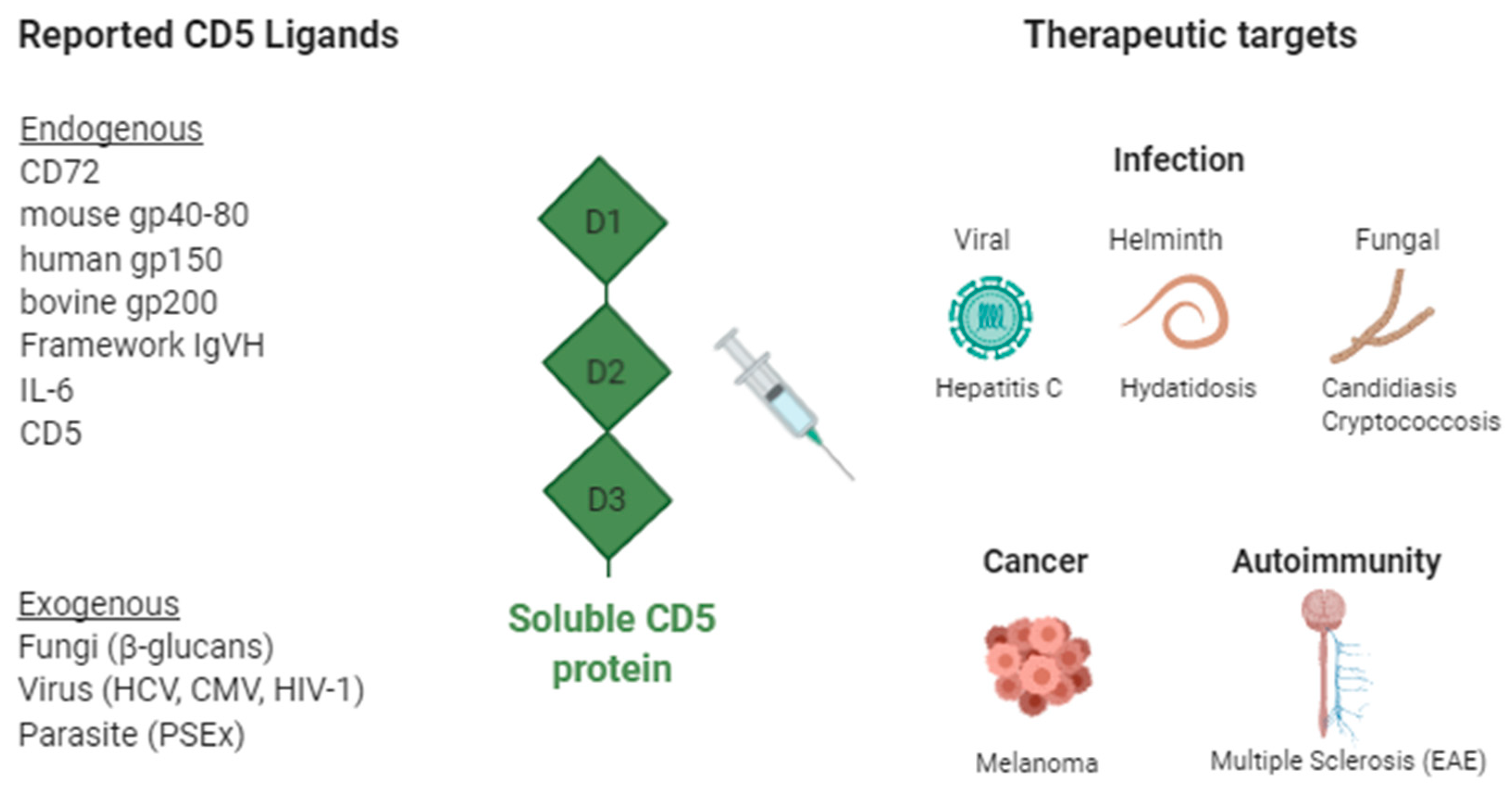 Cells 09 02589 g001 Cells 09 02589 g001