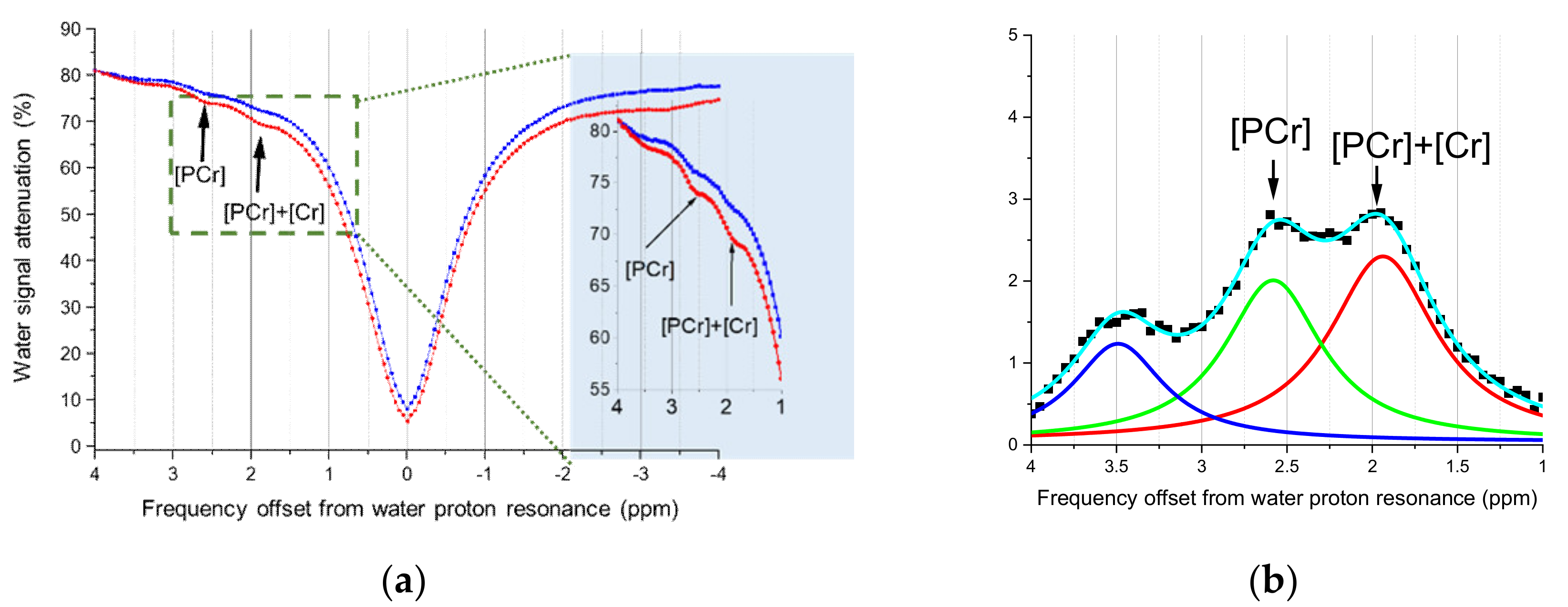 Cells 09 02610 g003 Cells 09 02610 g003