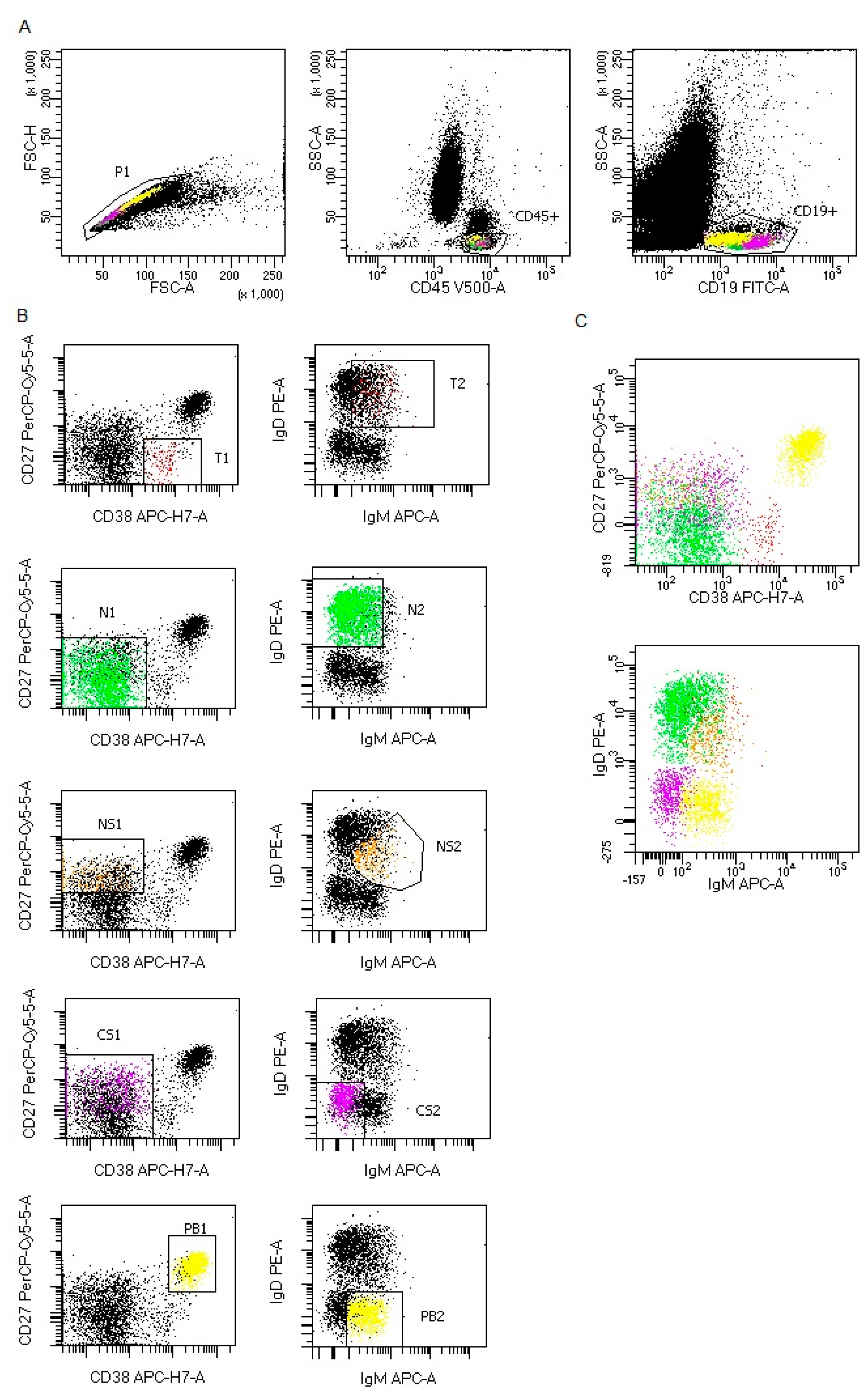 Cells 09 02615 g001 Cells 09 02615 g001