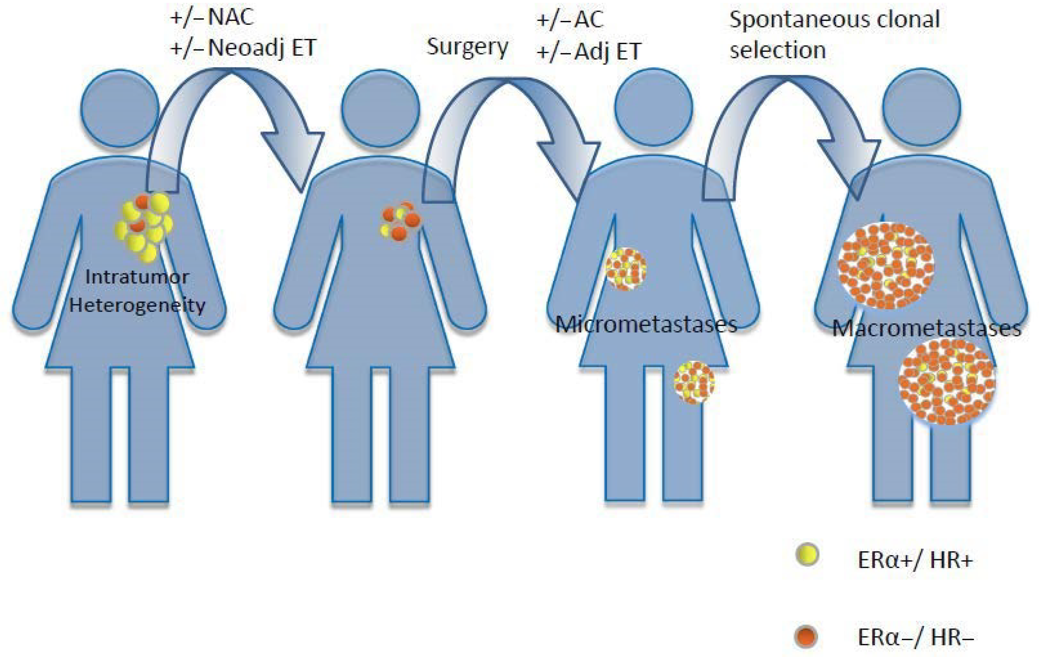 Cells 09 02644 g003 Cells 09 02644 g003