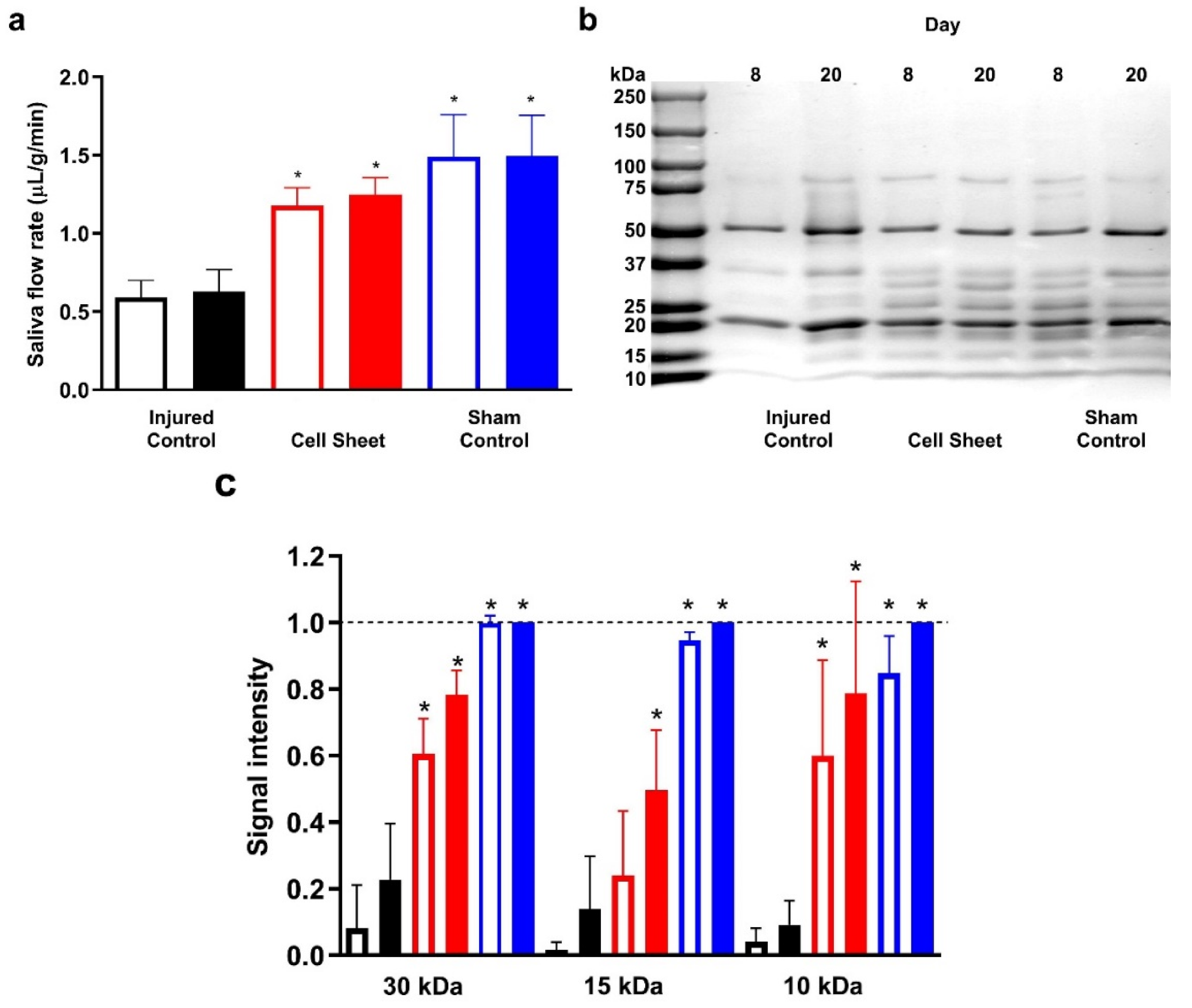 Cells 09 02645 g006 Cells 09 02645 g006