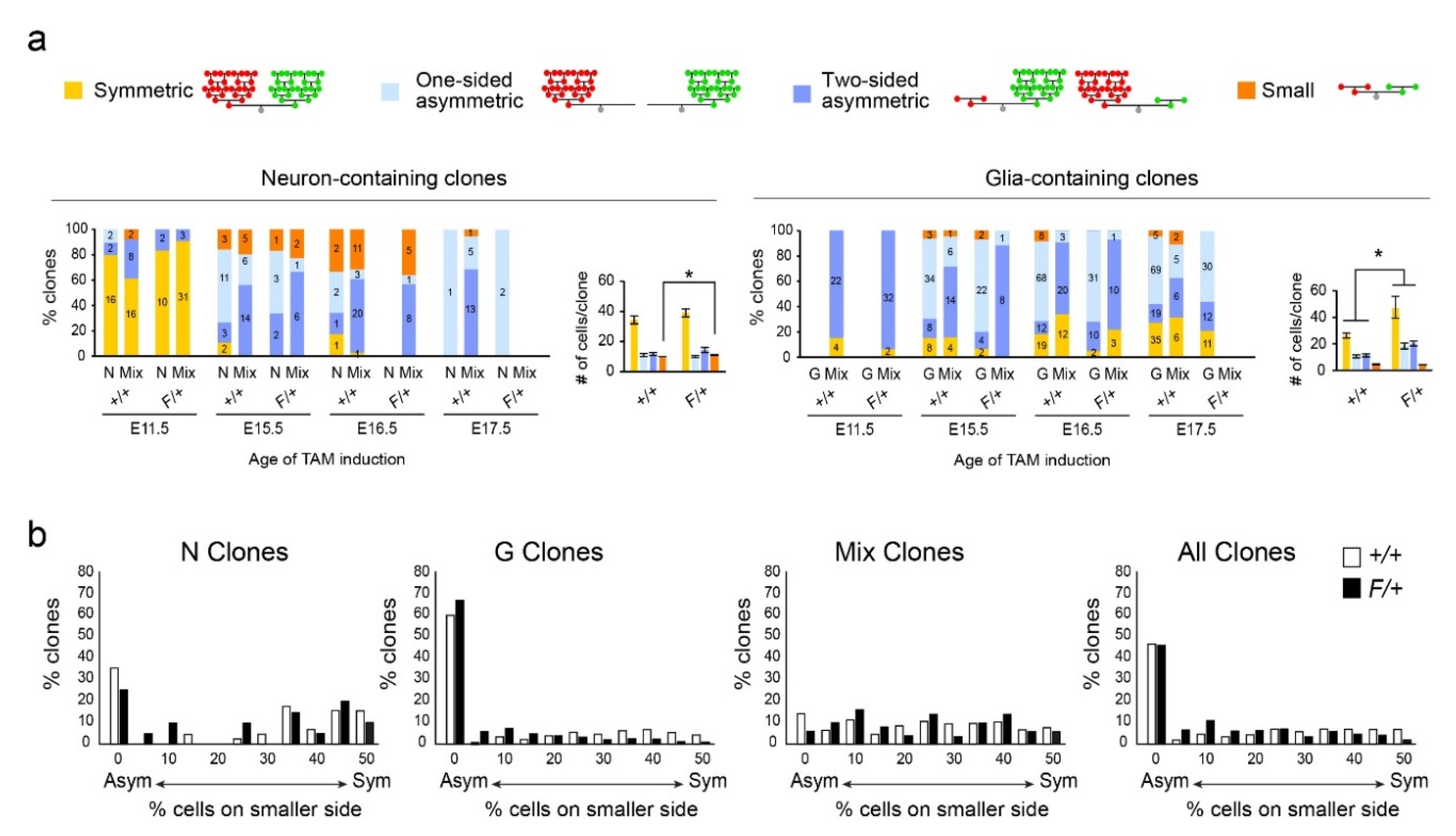 Cells 09 02662 g004 Cells 09 02662 g004