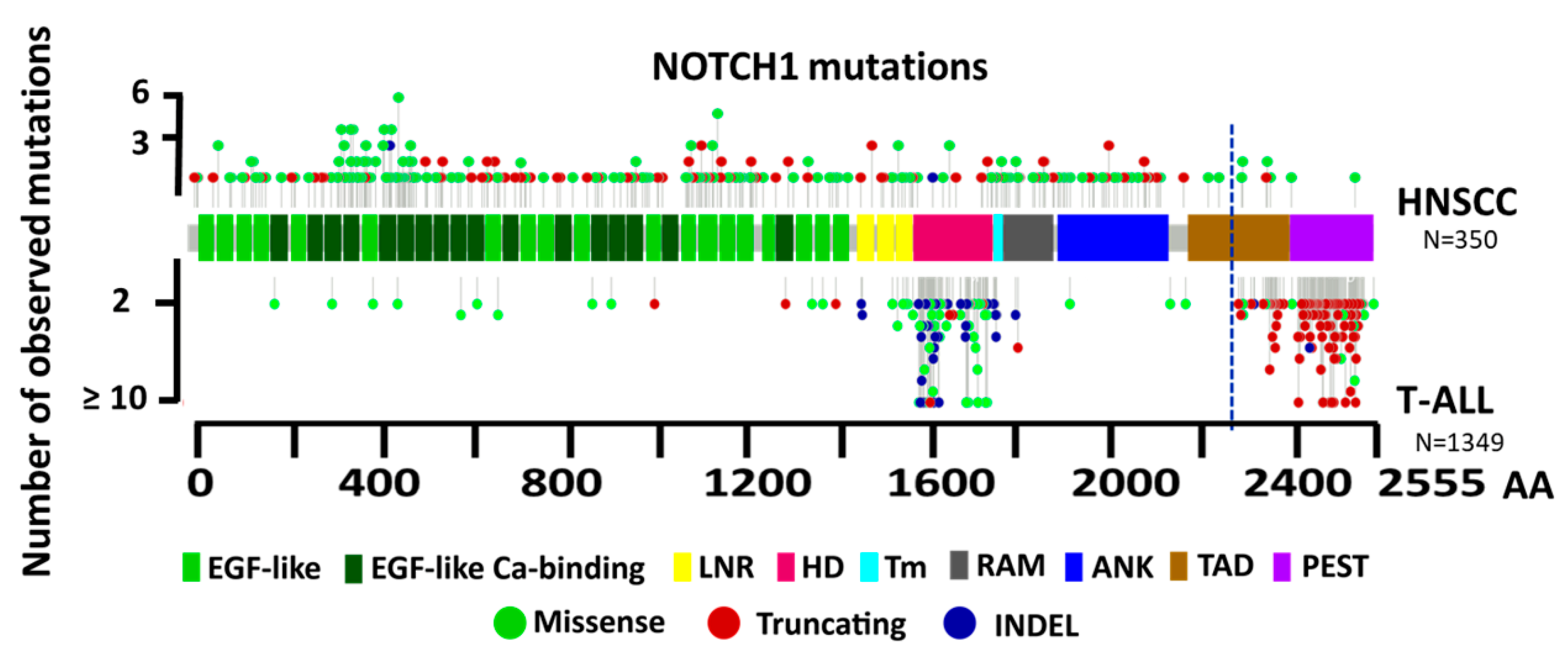 Cells 09 02677 g002 Cells 09 02677 g002