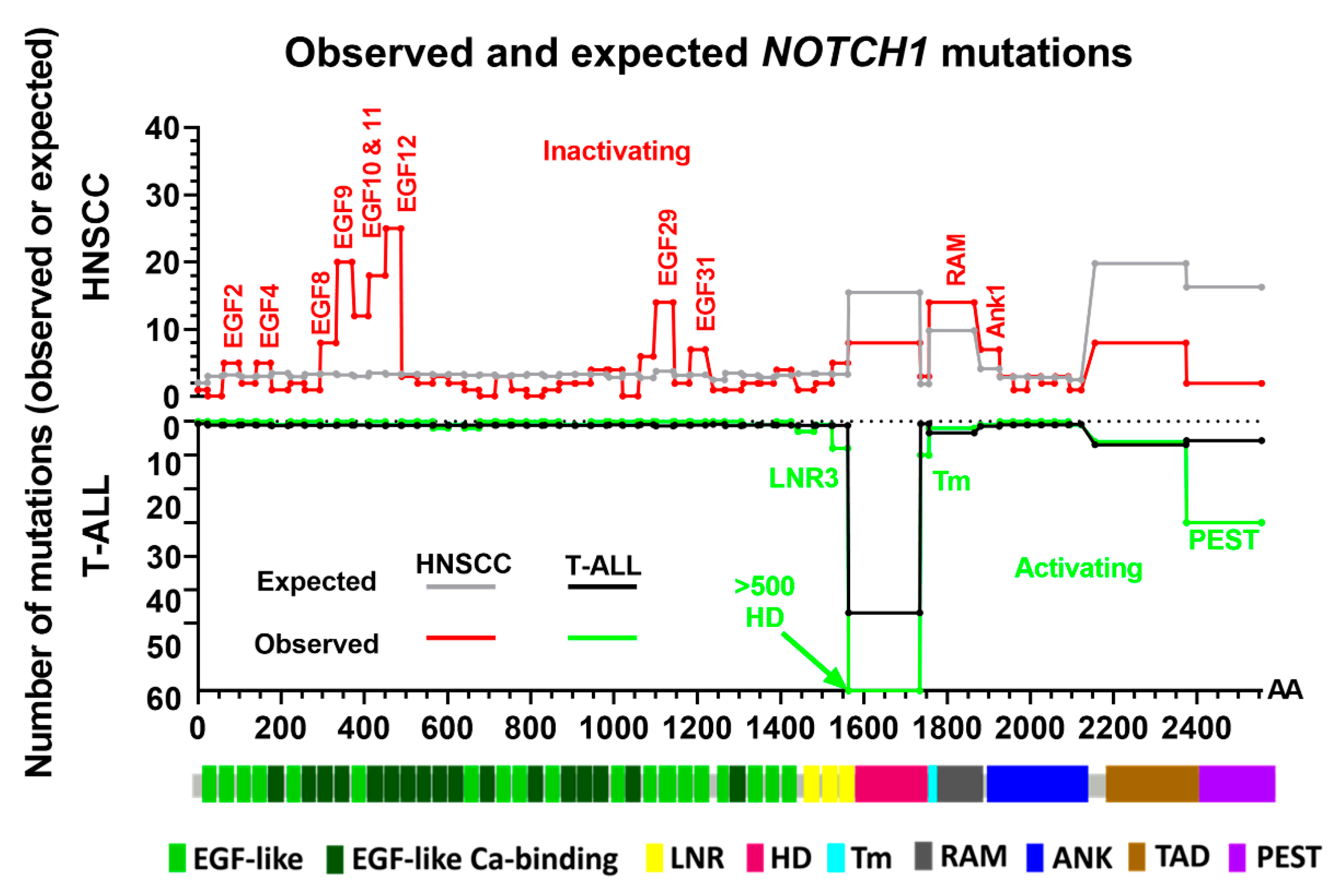Cells 09 02677 g003 Cells 09 02677 g003