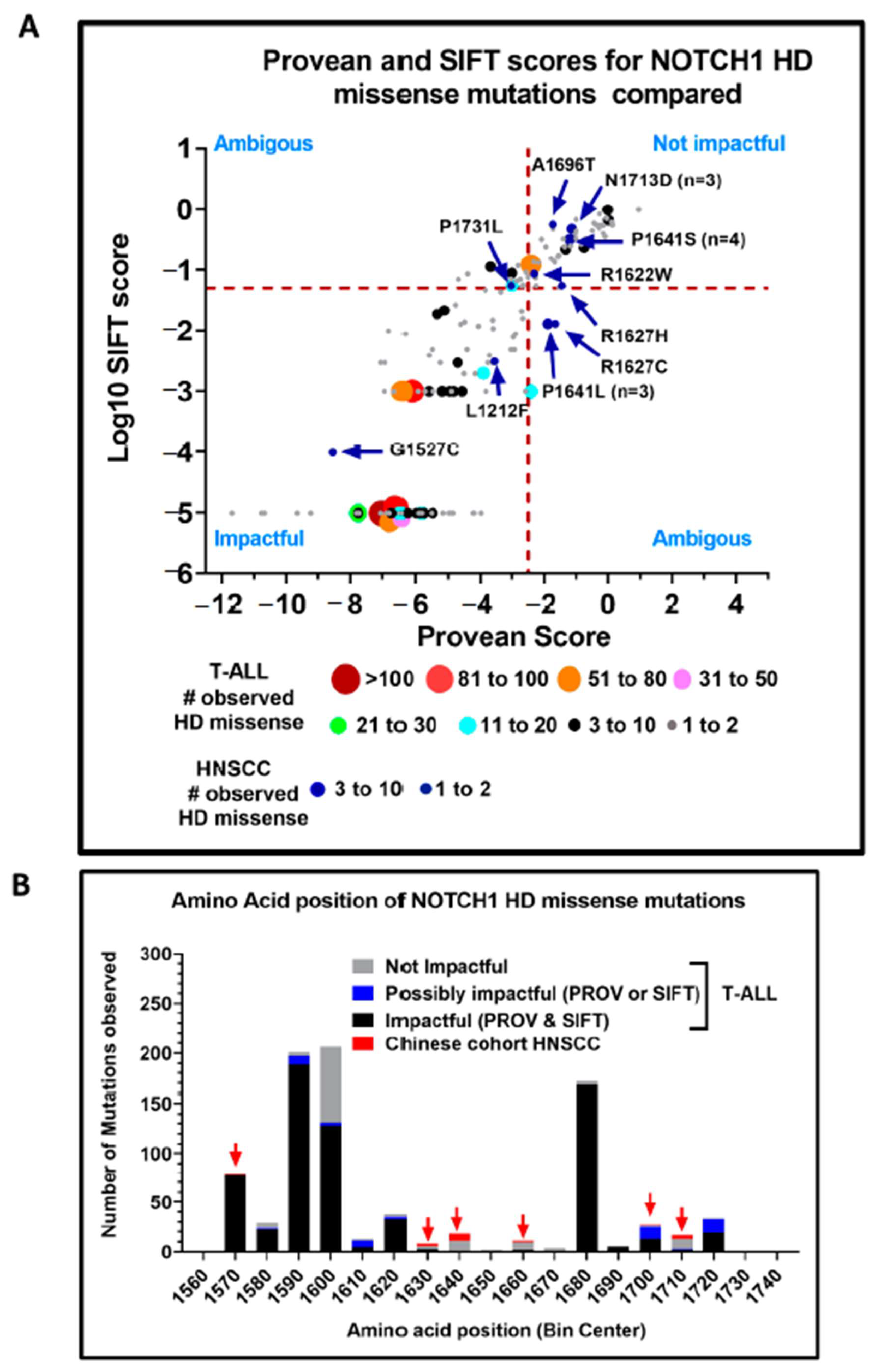 Cells 09 02677 g005 Cells 09 02677 g005