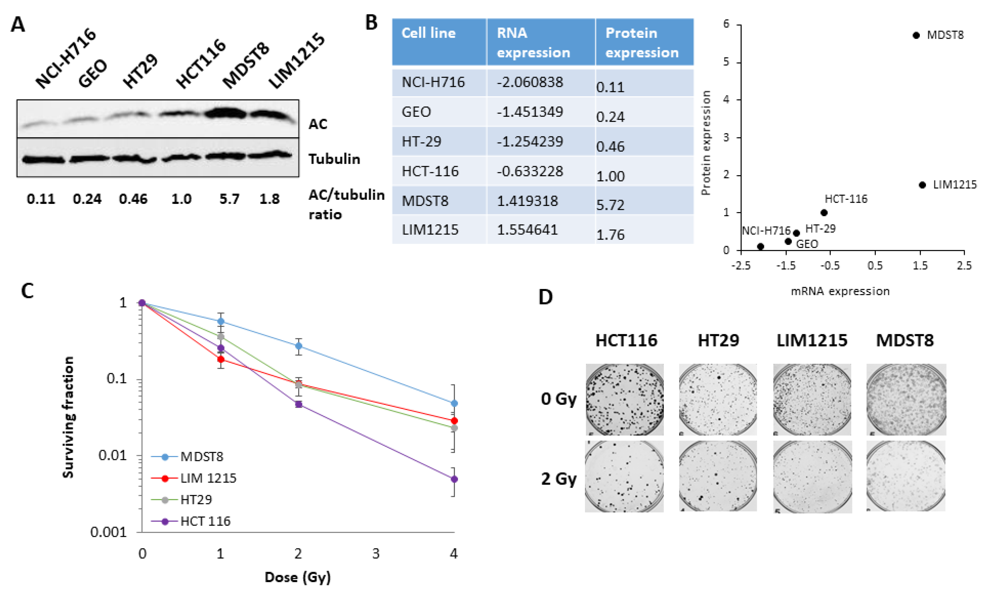 Cells 09 02693 g001 Cells 09 02693 g001