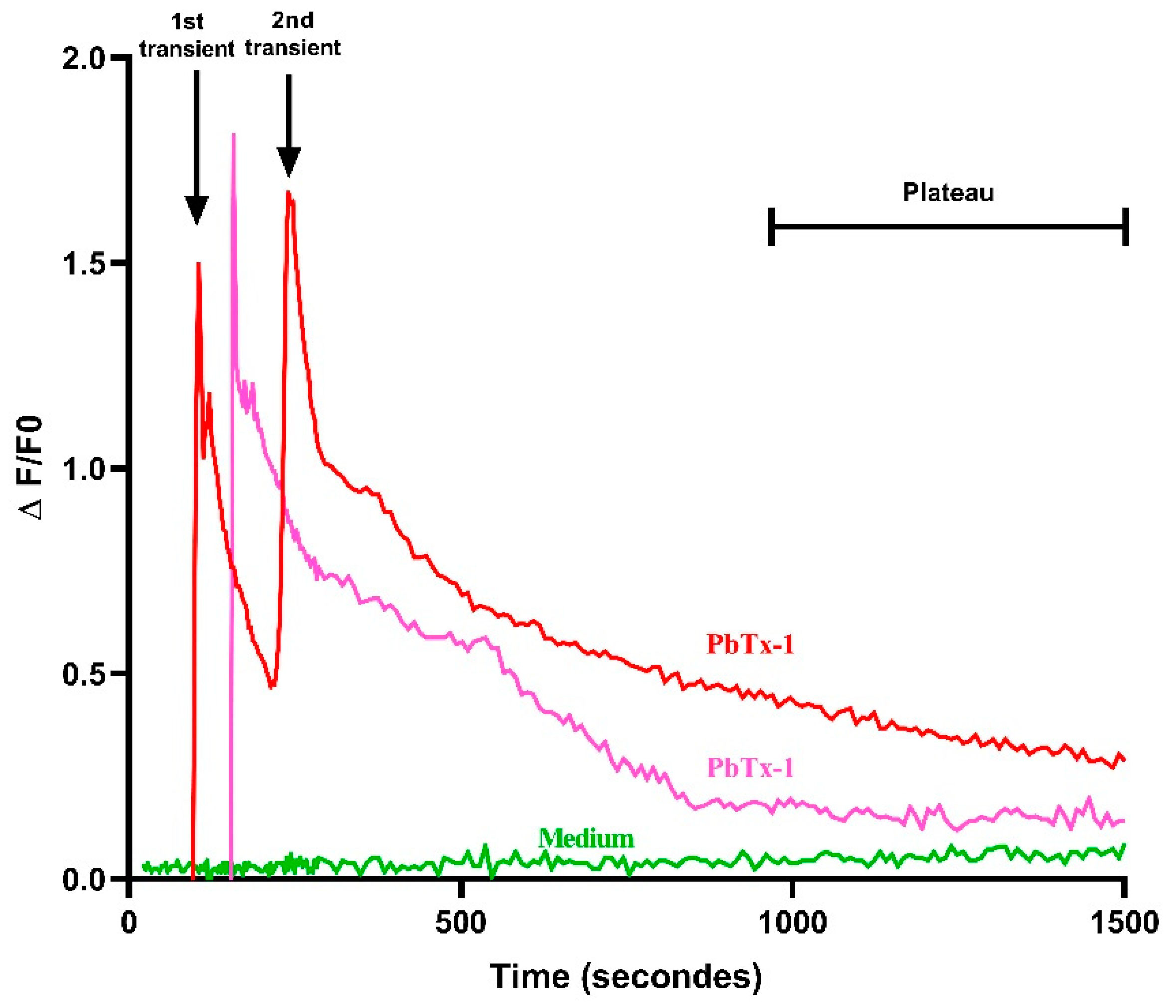 Cells 09 02704 g001 Cells 09 02704 g001
