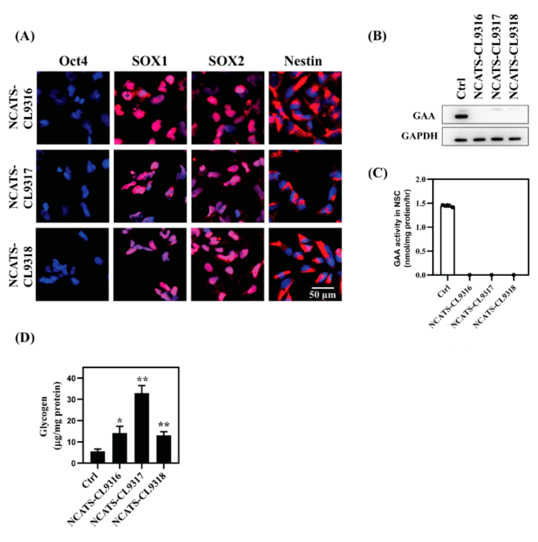 Cells 10 00008 g001 Cells 10 00008 g001