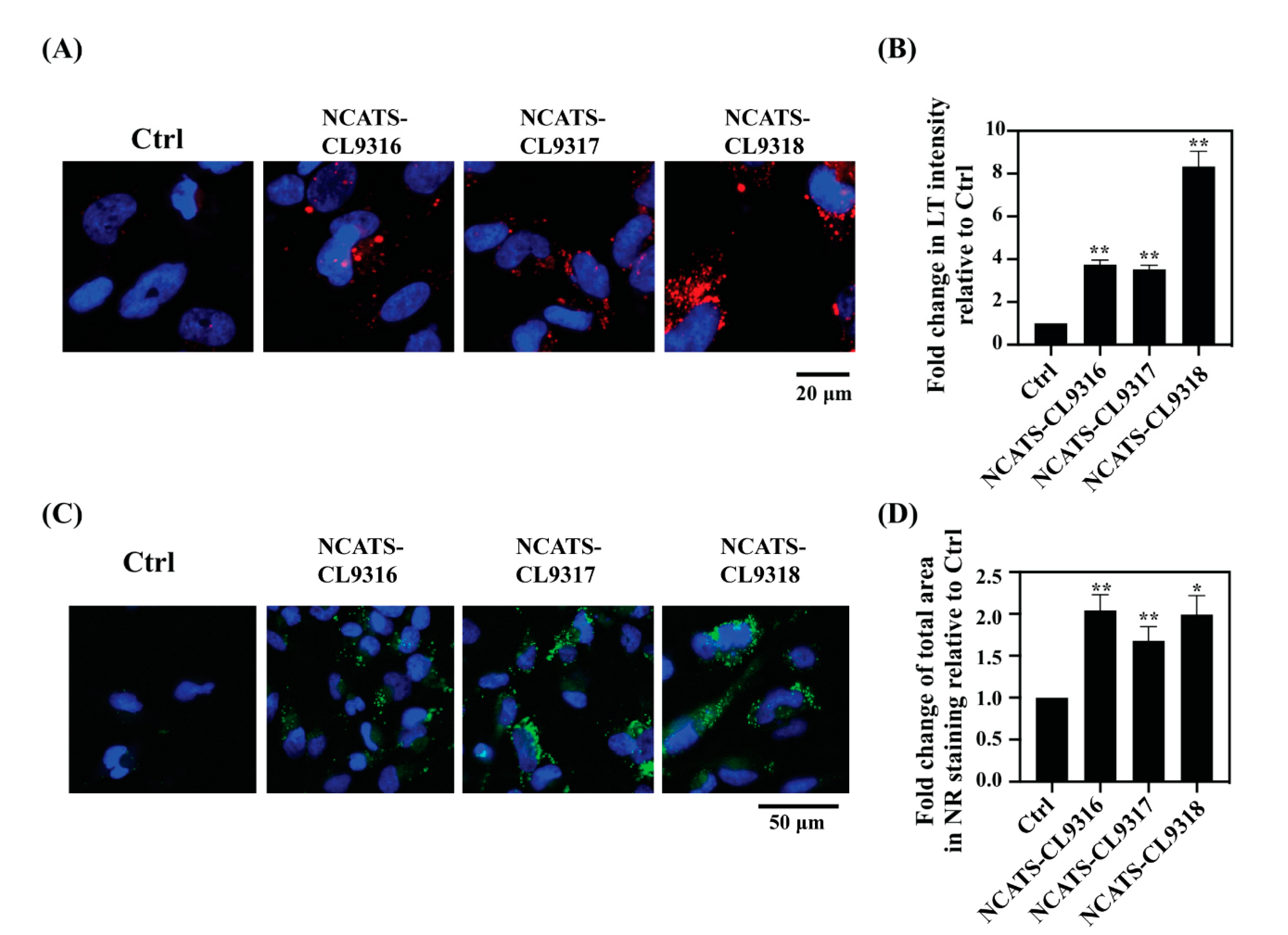 Cells 10 00008 g002 Cells 10 00008 g002