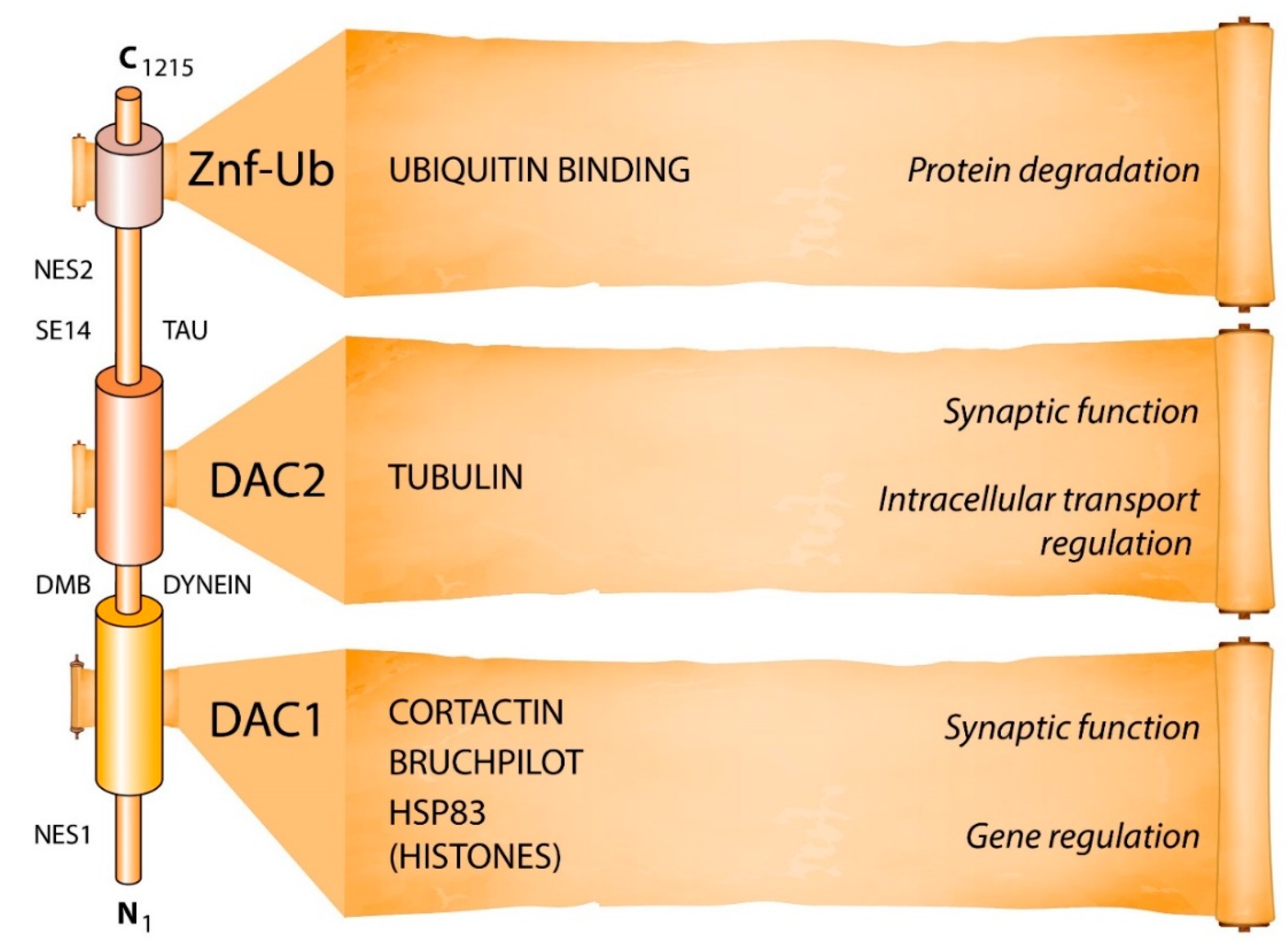 Cells 10 00012 g001 Cells 10 00012 g001