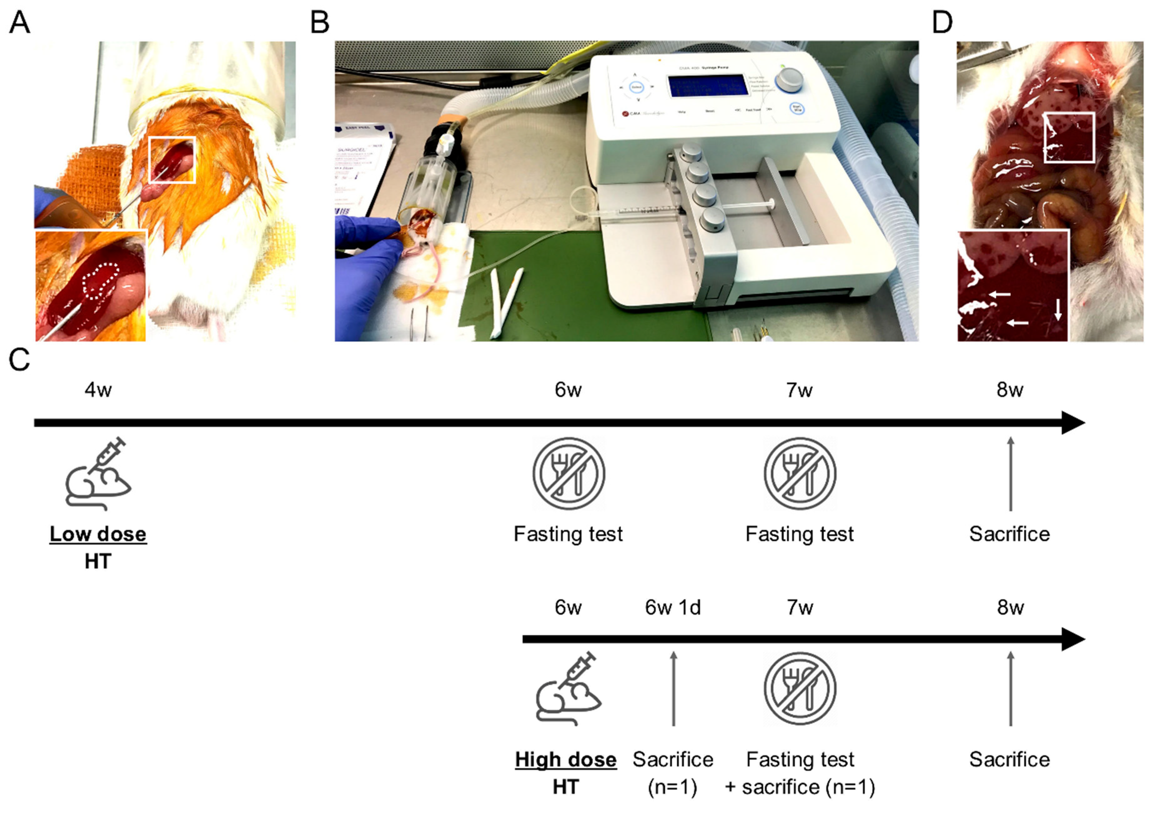 Cells 10 00040 g001 Cells 10 00040 g001