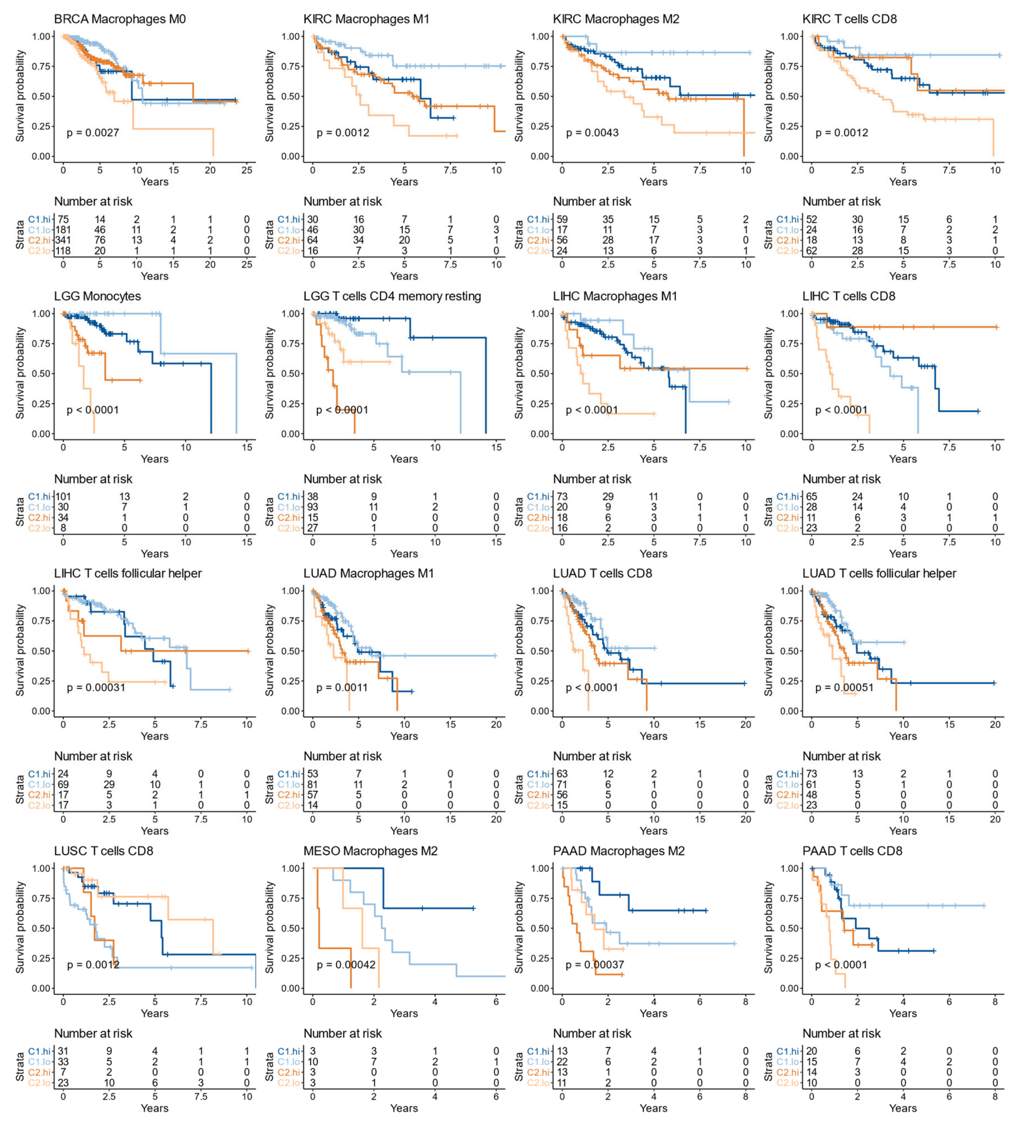 Cells 10 00045 g011 Cells 10 00045 g011