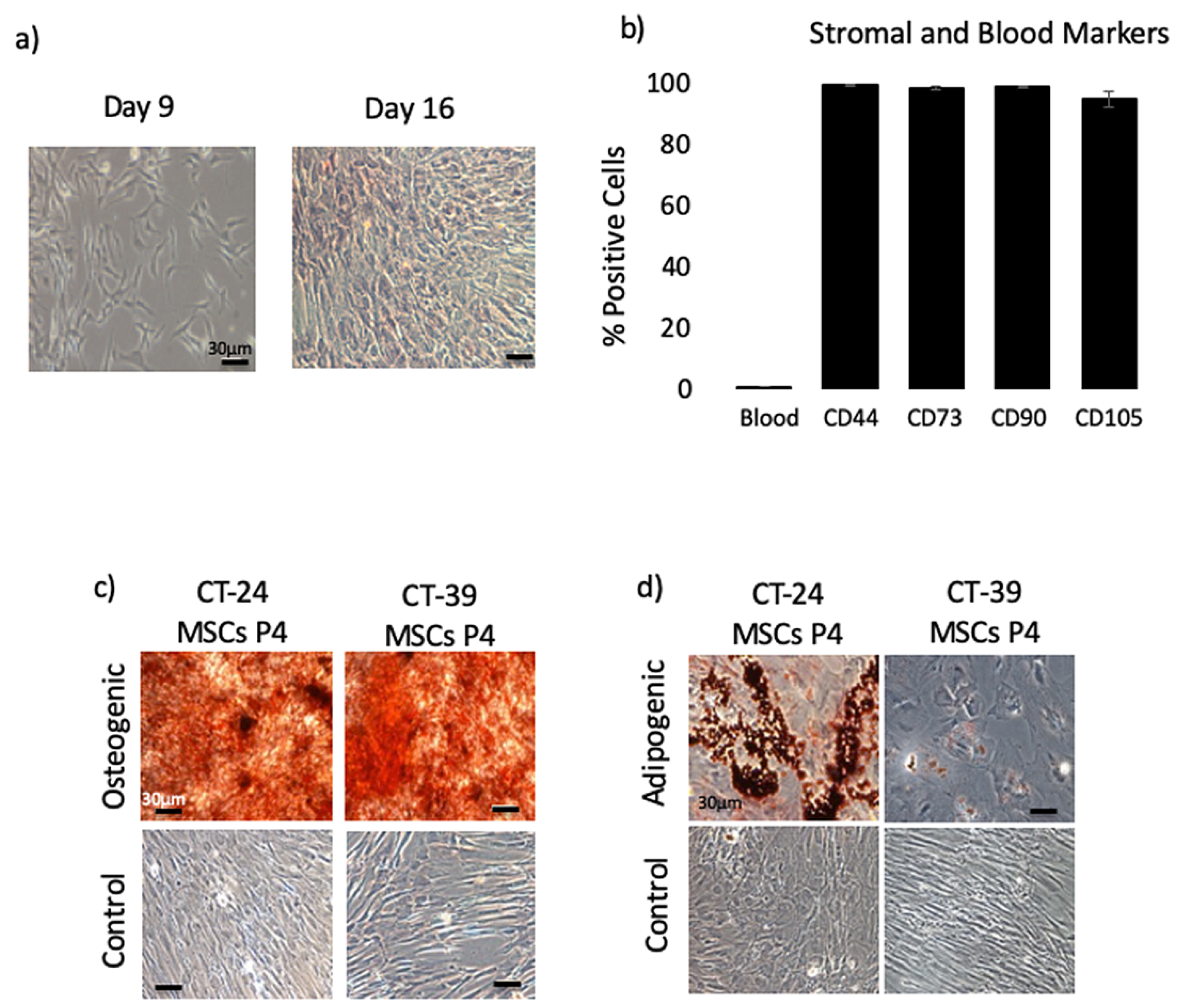 Cells 10 00049 g001 Cells 10 00049 g001