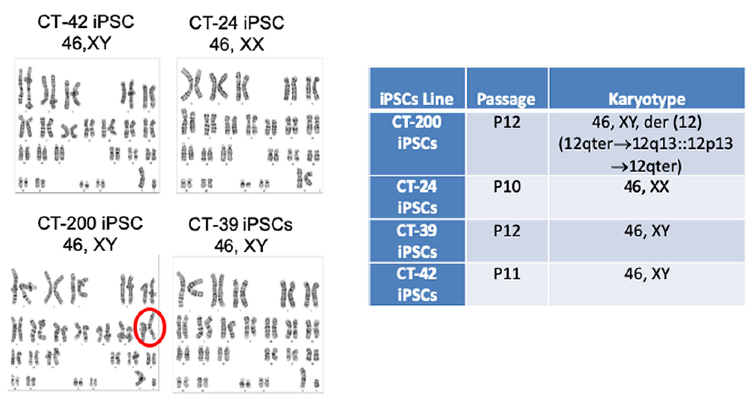 Cells 10 00049 g005 Cells 10 00049 g005