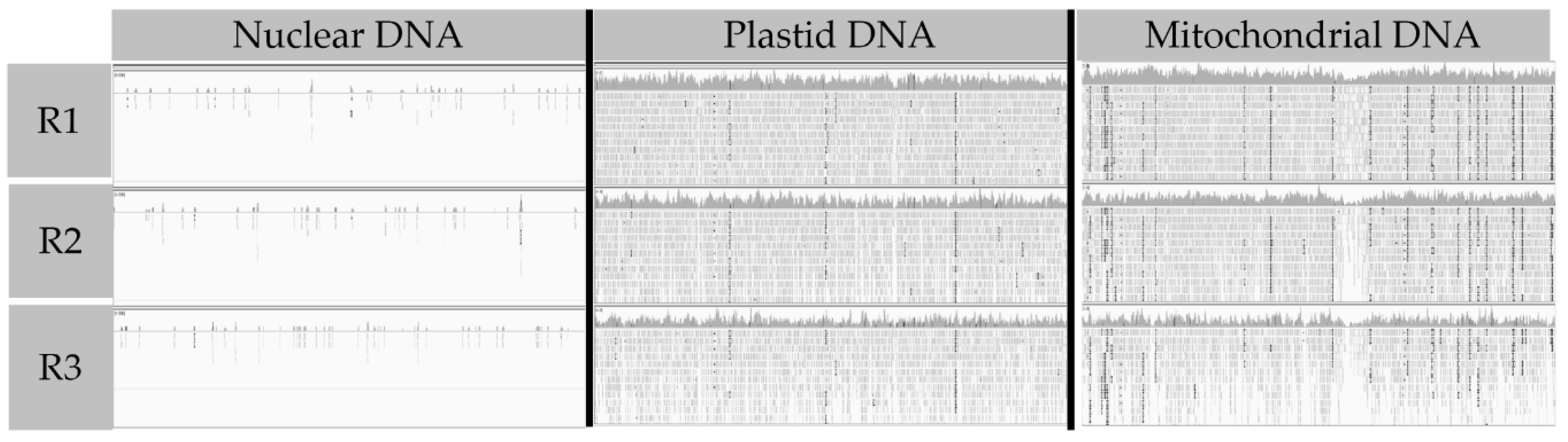 Cells 10 00069 g001 Cells 10 00069 g001