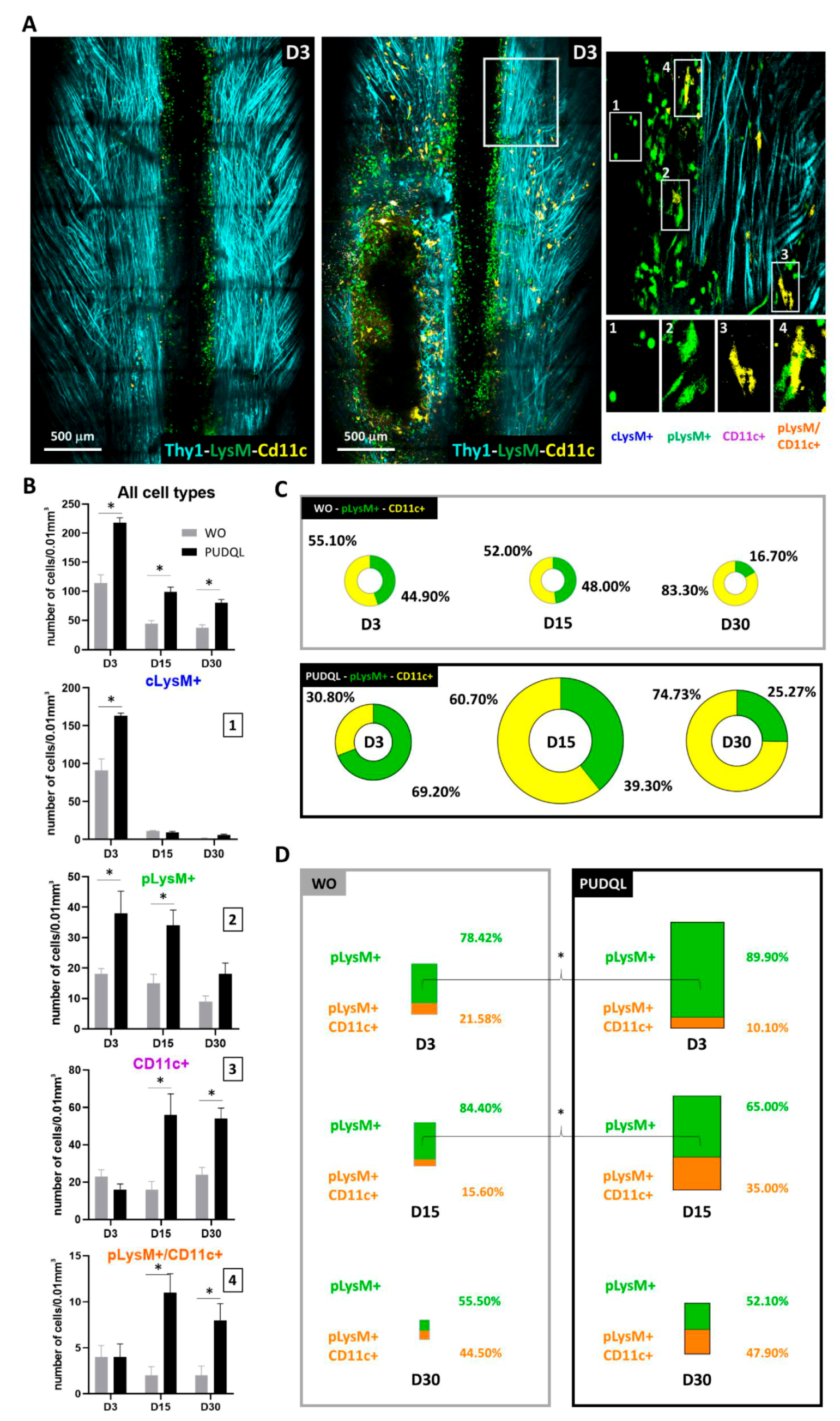 Cells 10 00073 g005 Cells 10 00073 g005
