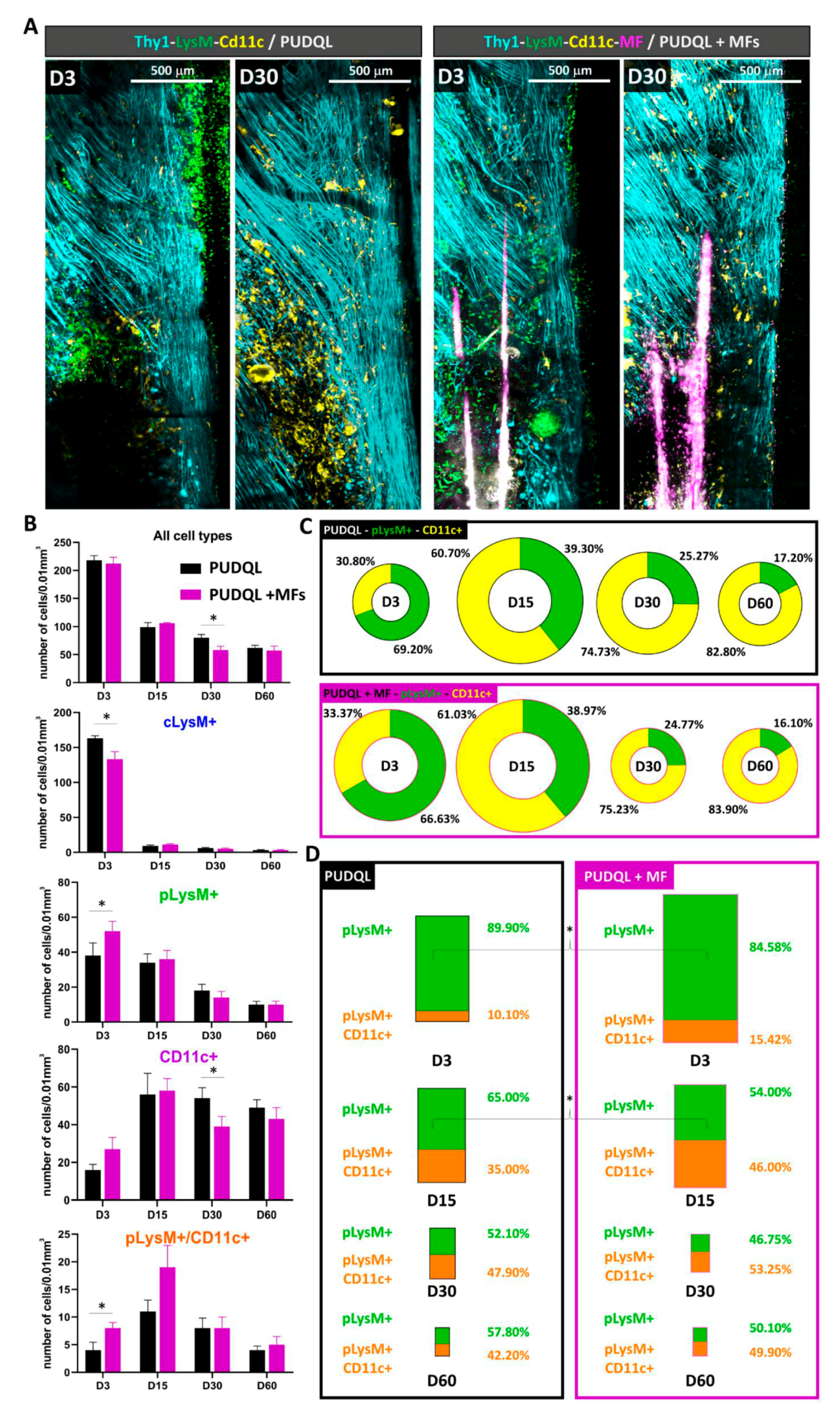 Cells 10 00073 g008 Cells 10 00073 g008