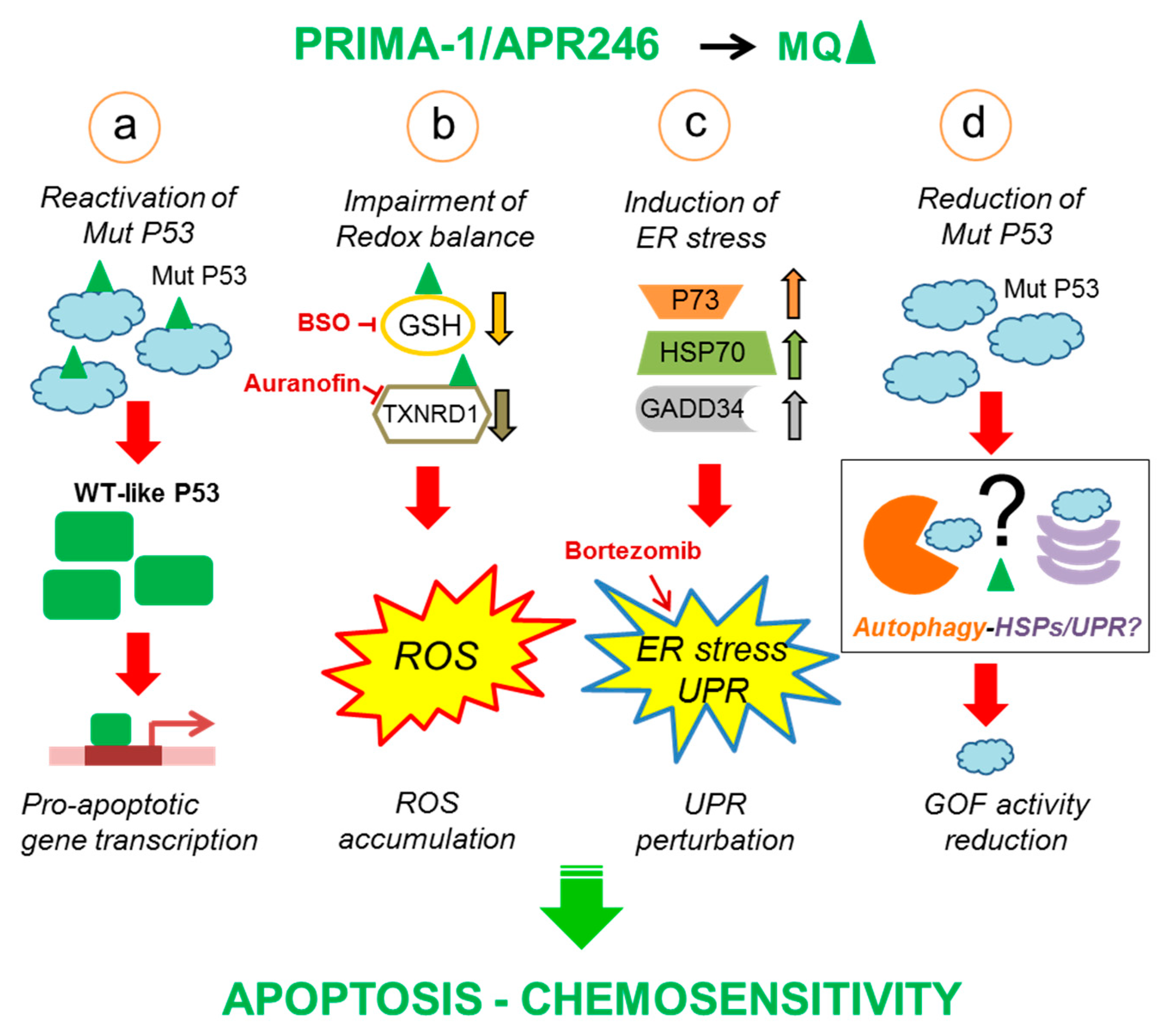 Cells 10 00098 g001 Cells 10 00098 g001
