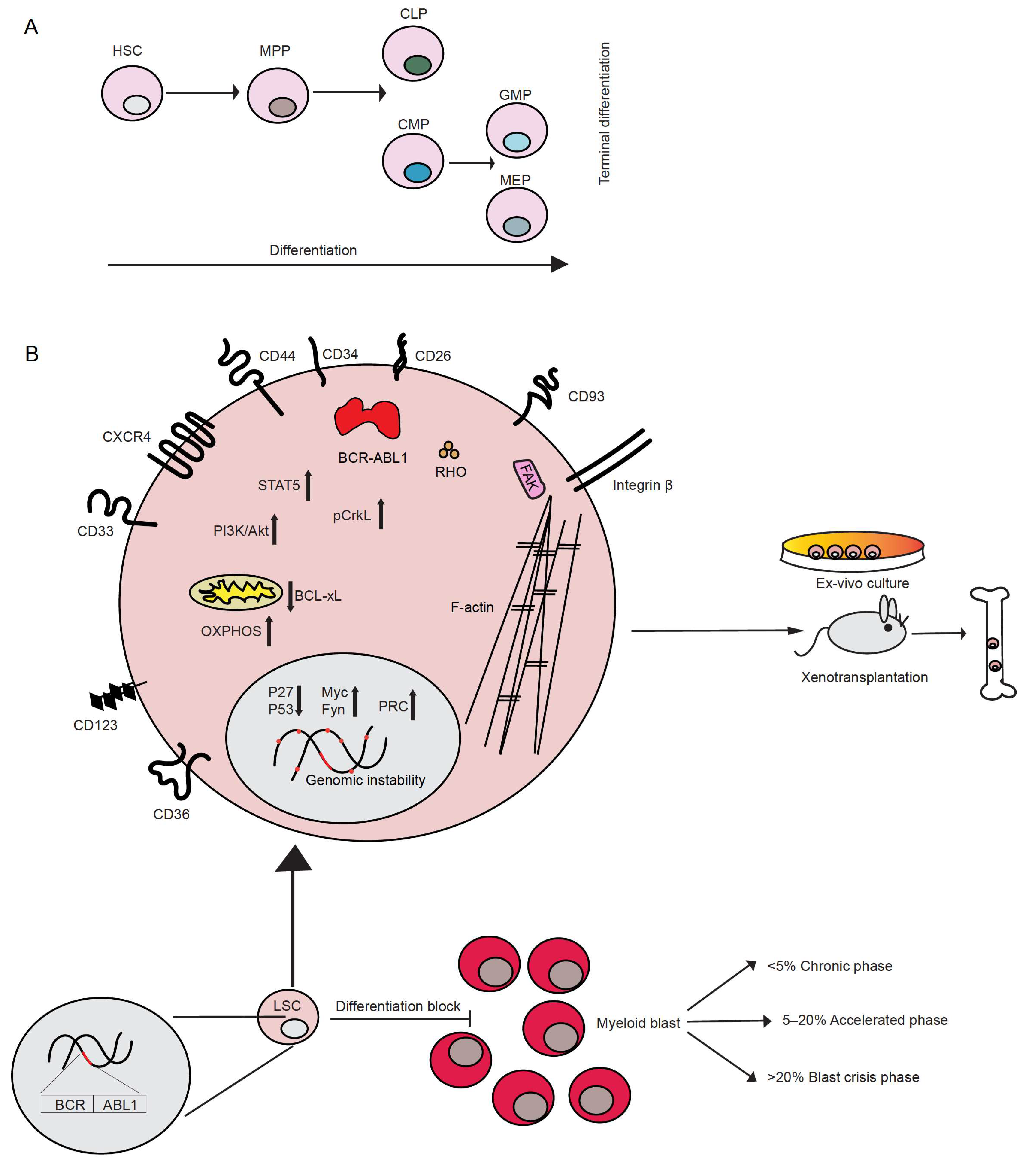 Cells 10 00117 g001 Cells 10 00117 g001