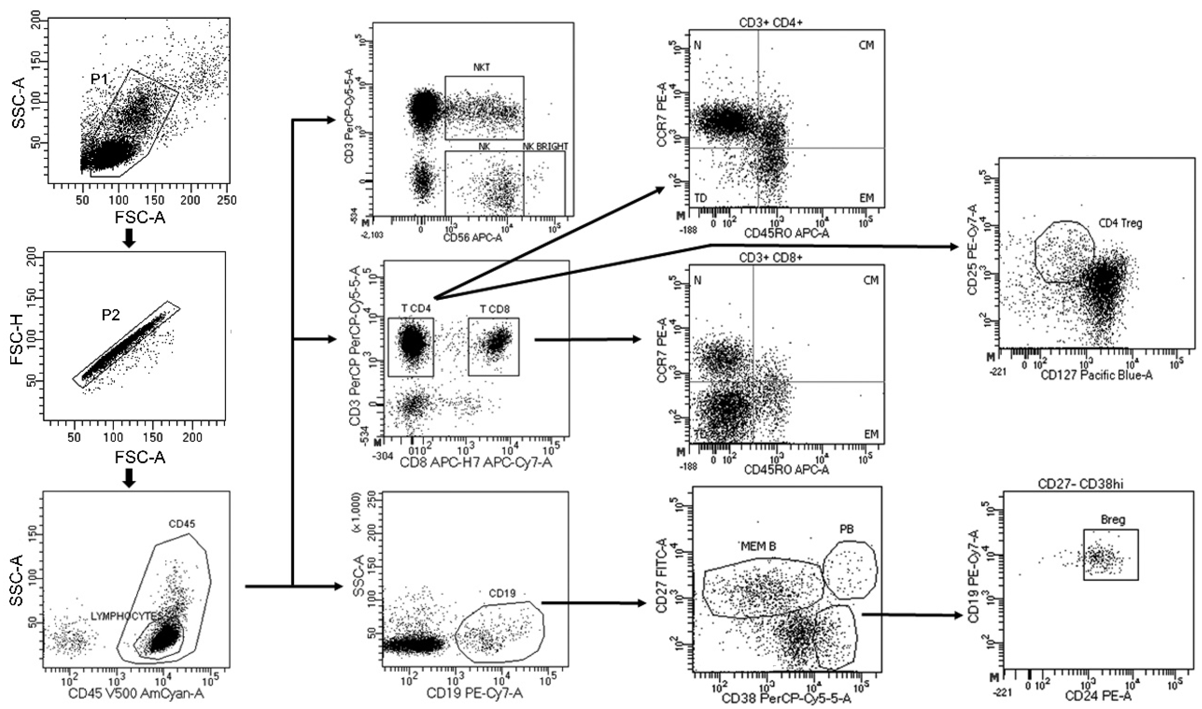 Cells 10 00119 g001 Cells 10 00119 g001