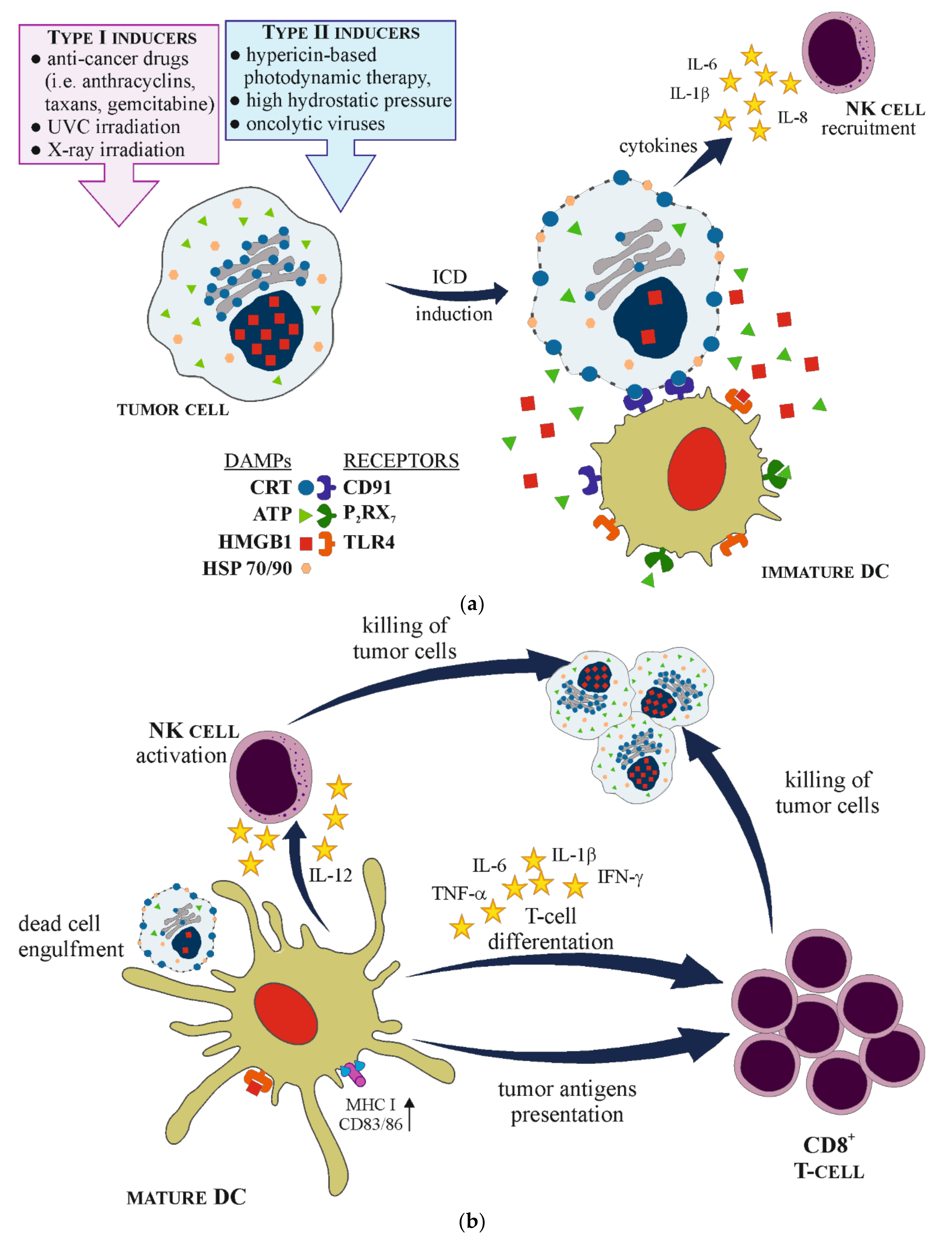 Cells 10 00130 g001 Cells 10 00130 g001