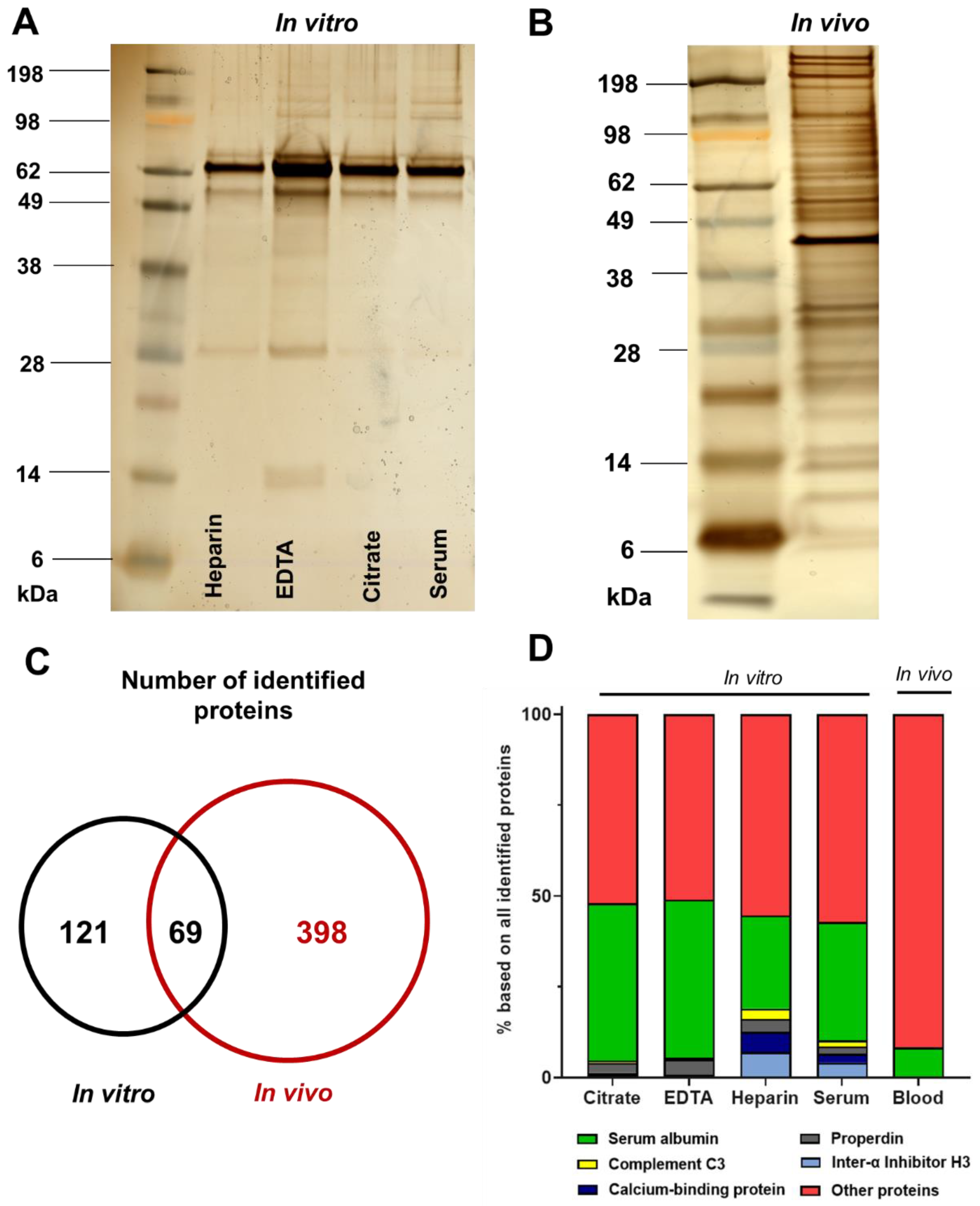 Cells 10 00132 g002 Cells 10 00132 g002