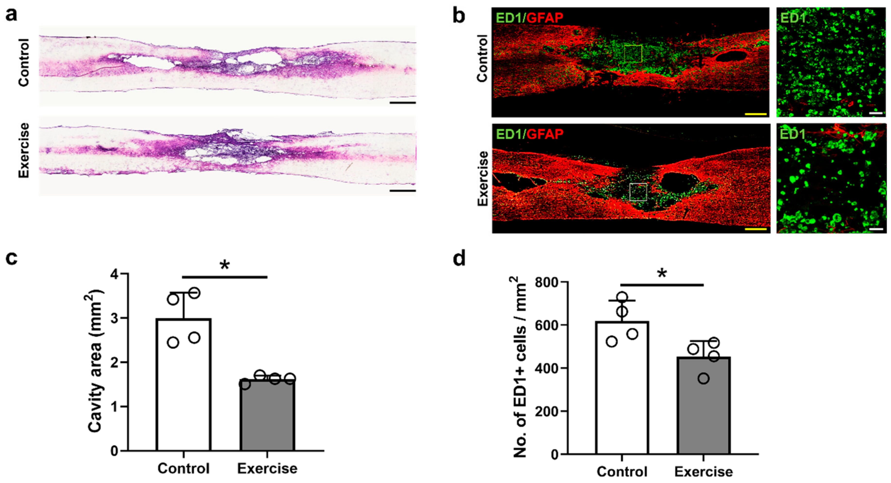 Cells 10 00143 g002 Cells 10 00143 g002