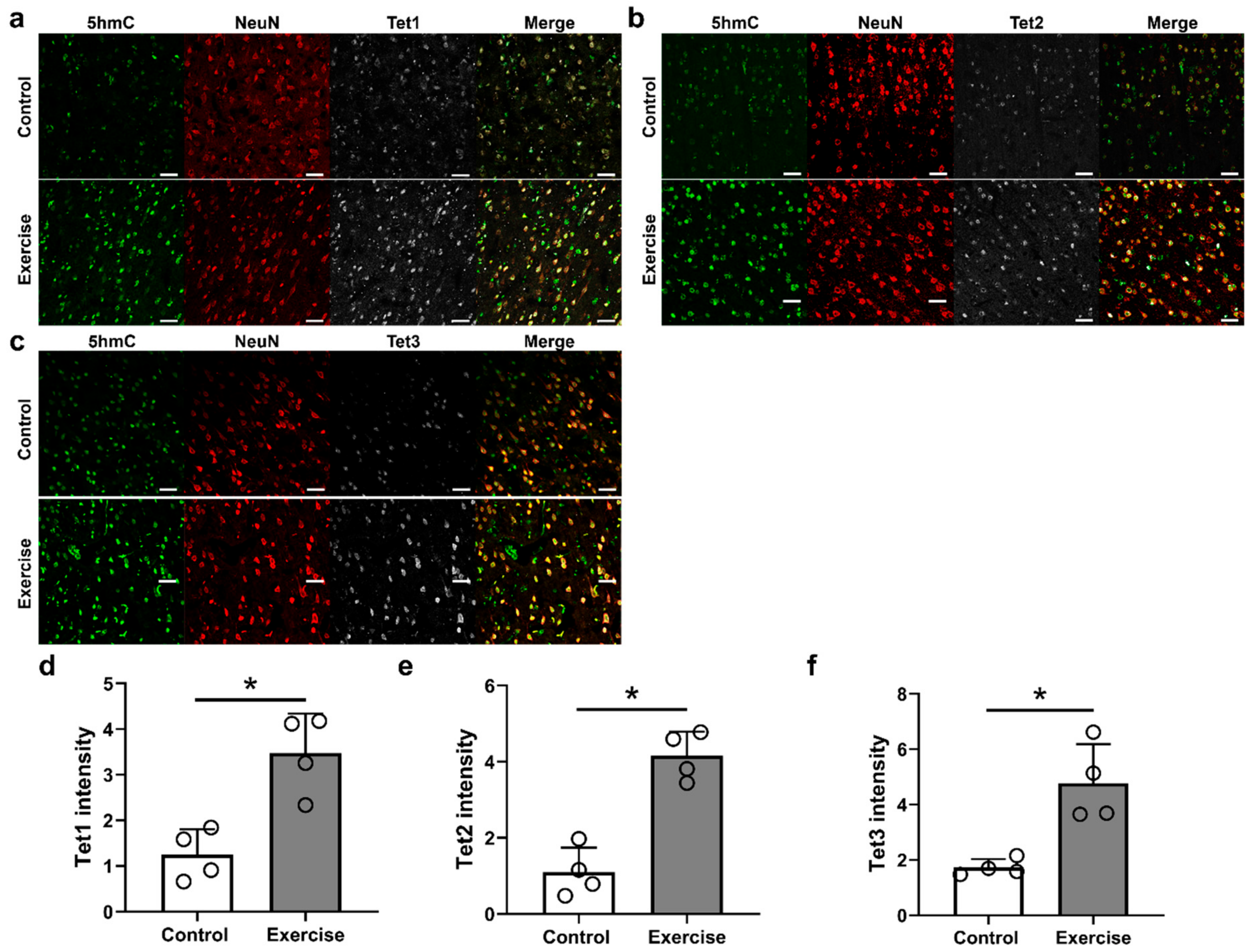 Cells 10 00143 g004 Cells 10 00143 g004
