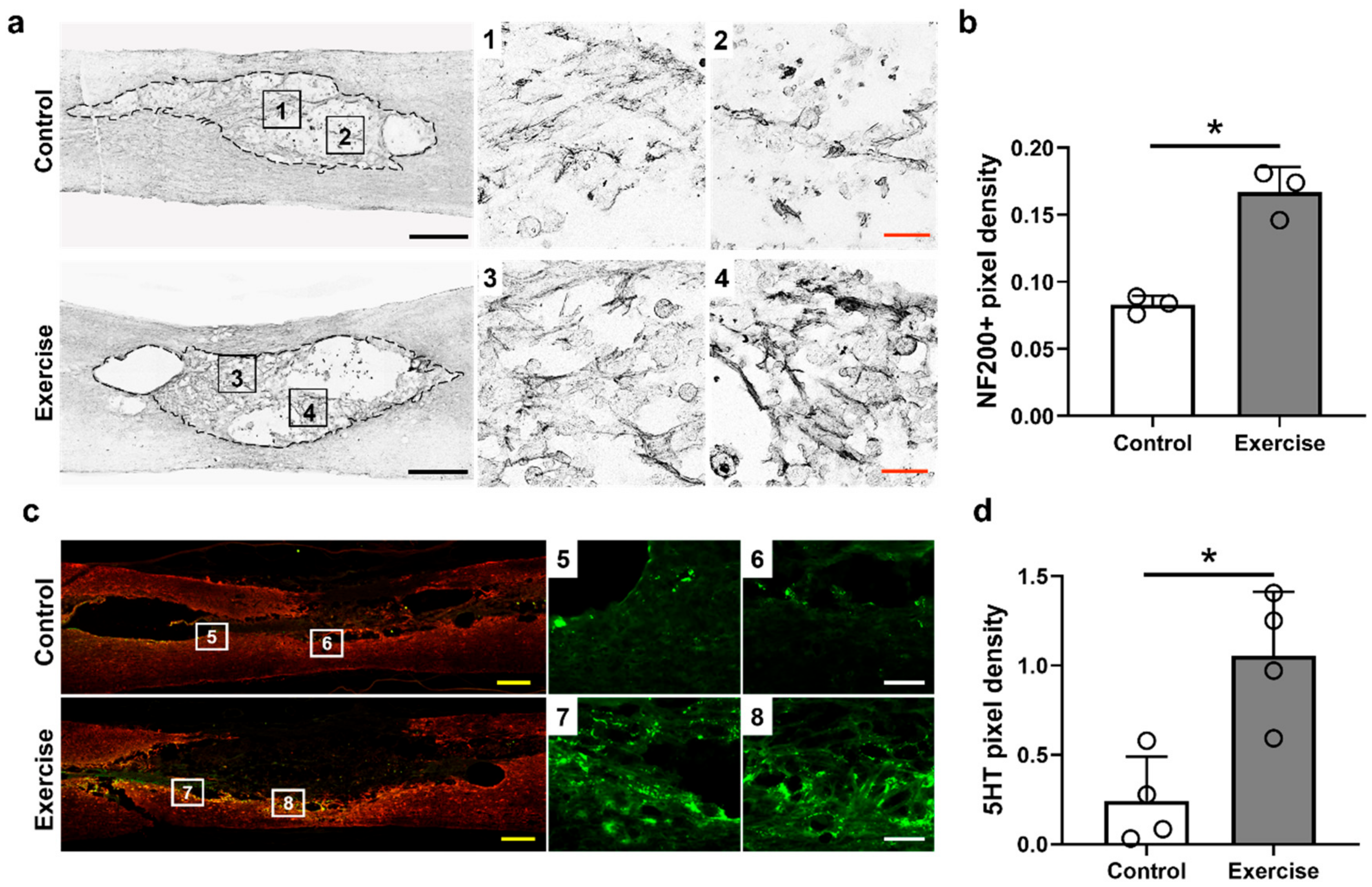 Cells 10 00143 g005 Cells 10 00143 g005