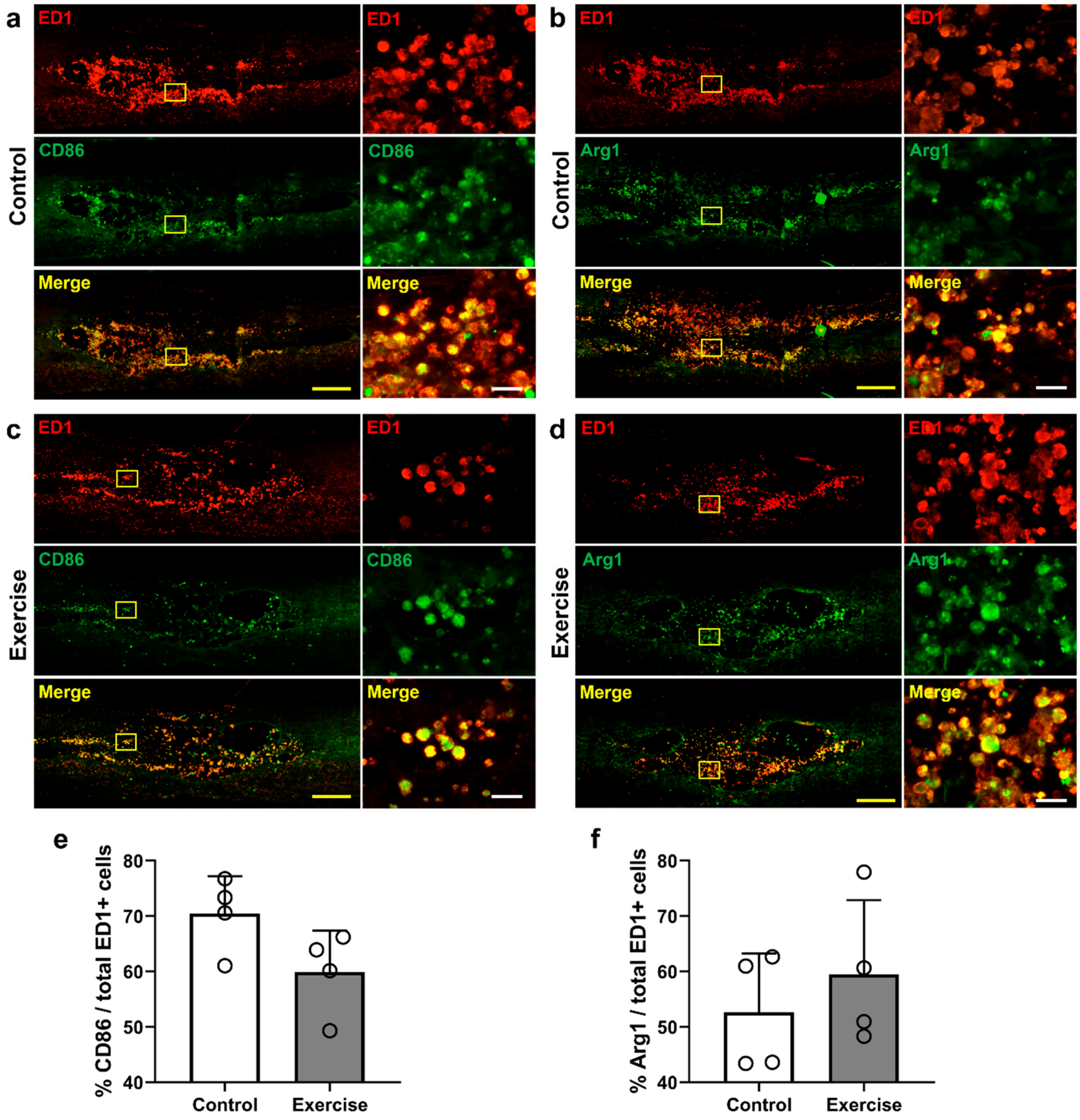 Cells 10 00143 g006 Cells 10 00143 g006
