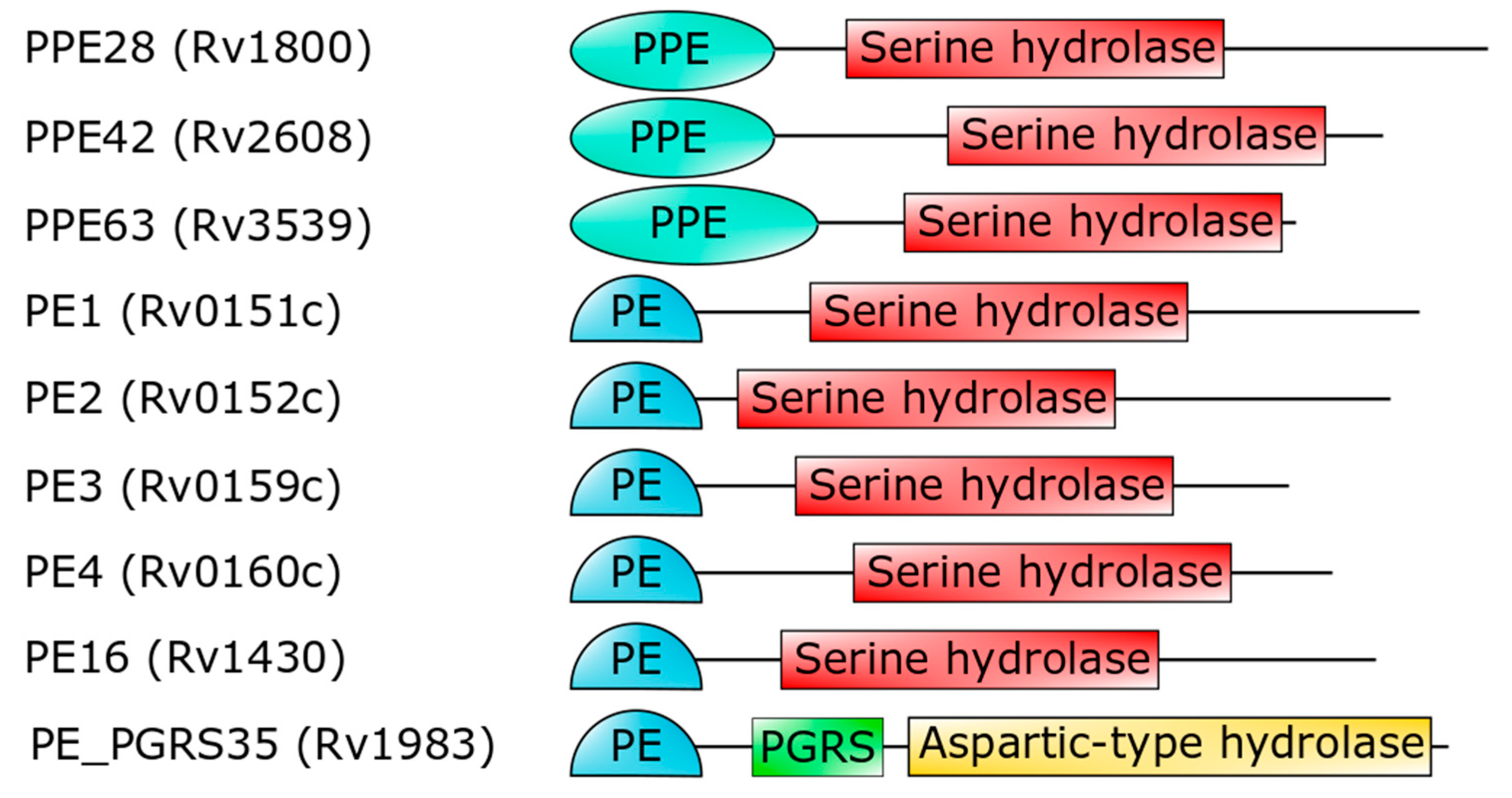 Cells 10 00161 g004 Cells 10 00161 g004