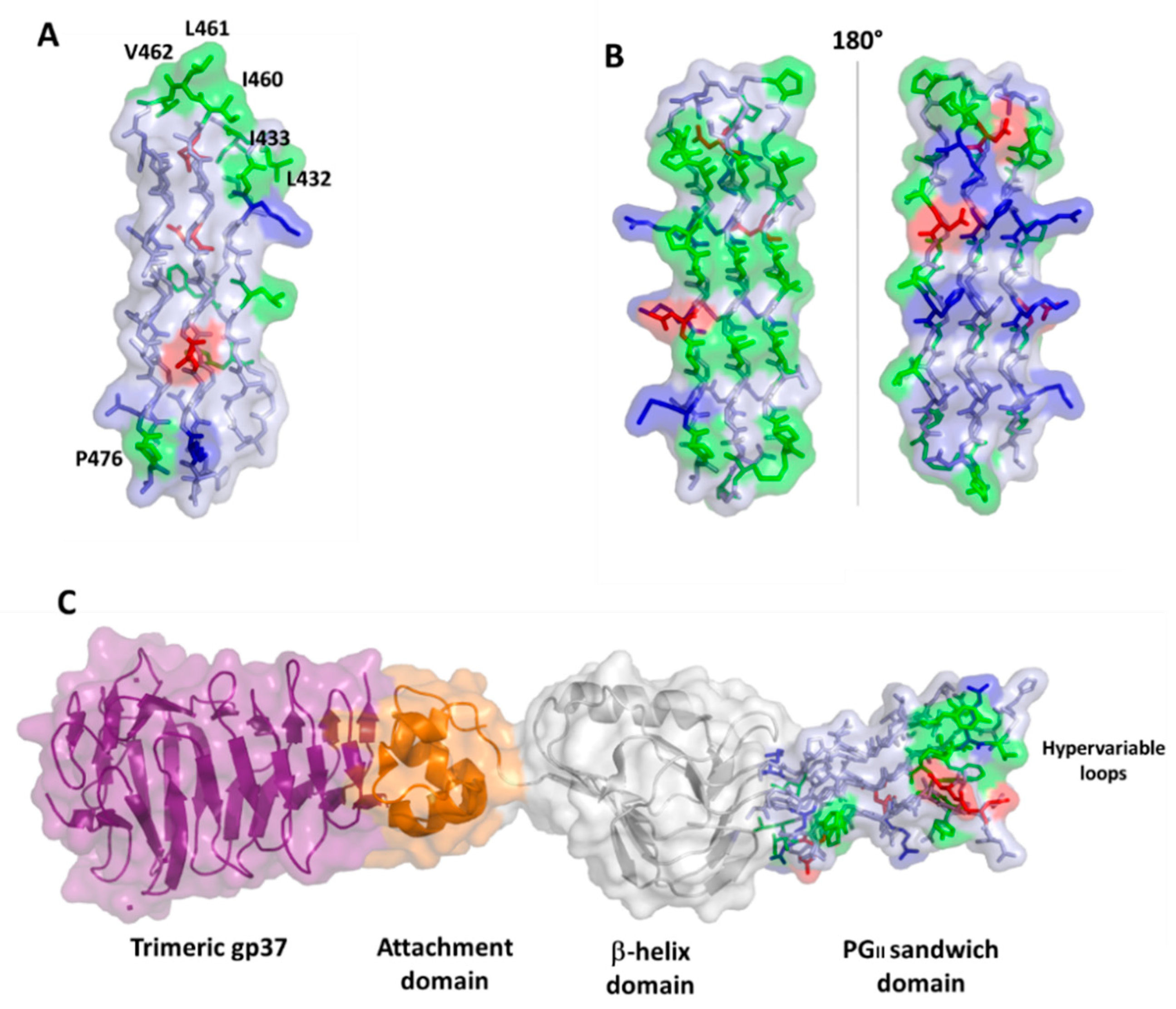 Cells 10 00161 g006 Cells 10 00161 g006