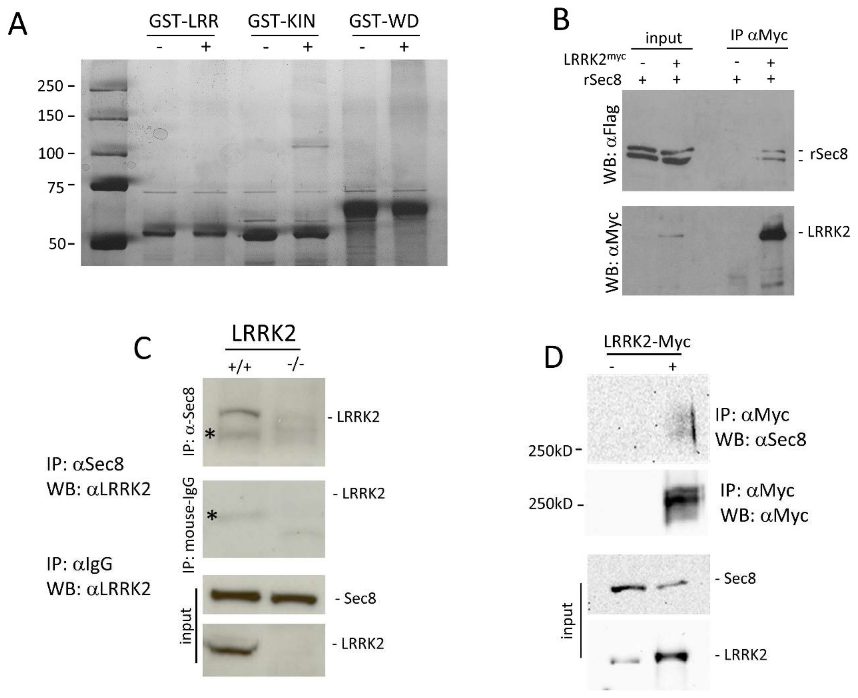 Cells 10 00203 g001 Cells 10 00203 g001