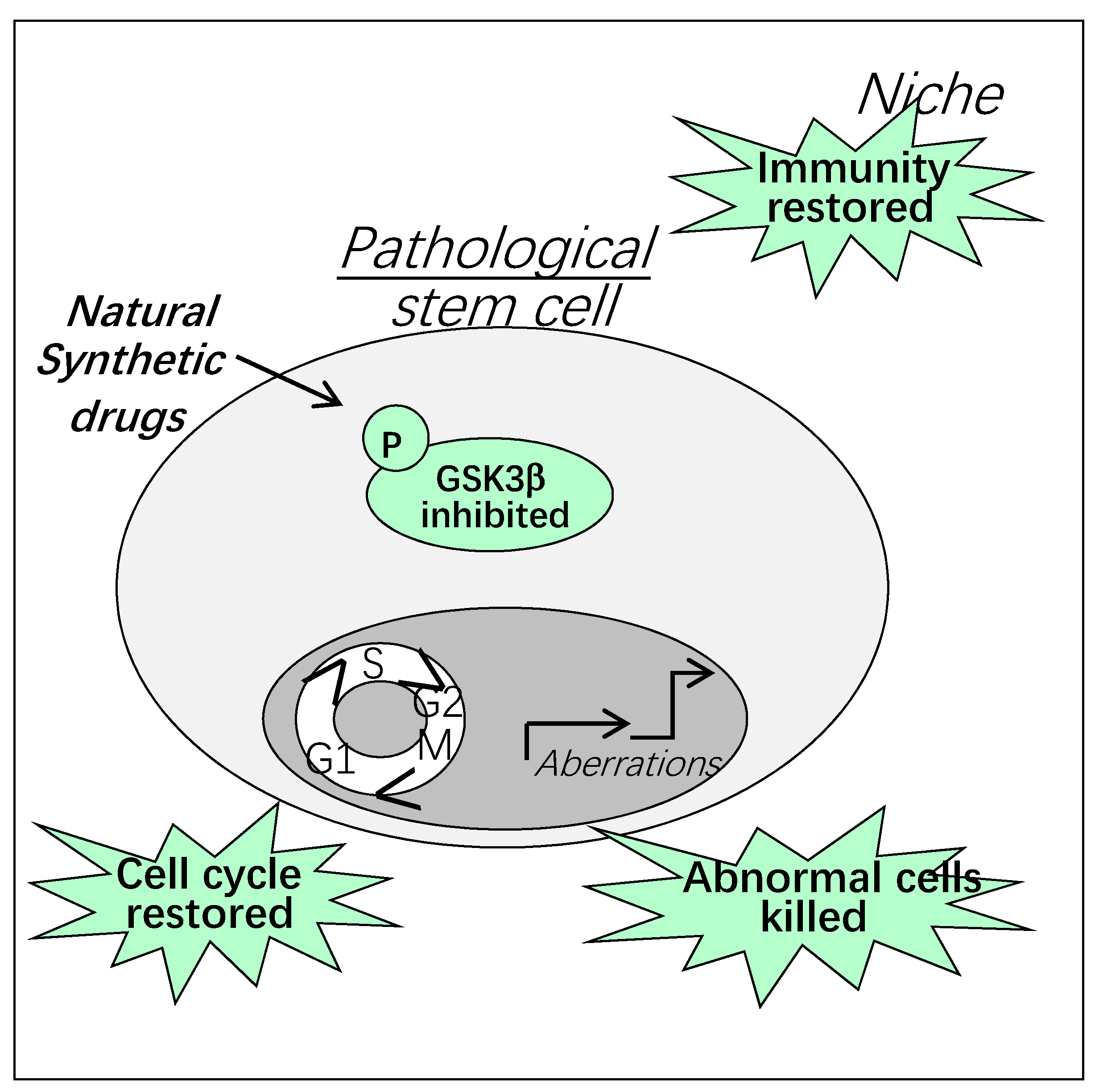 Cells 10 00225 g006